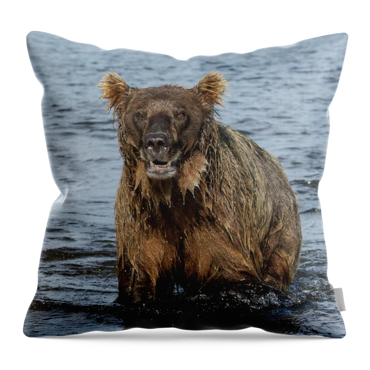 Alaska Throw Pillow featuring the photograph Rogue Bear by Cheryl Strahl