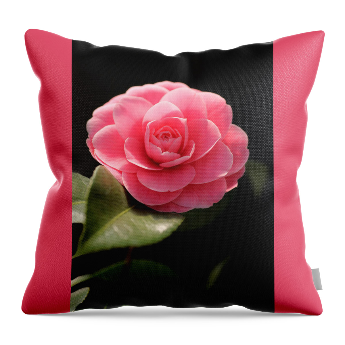 Romantic Throw Pillow featuring the photograph Romantic Camellia by Tammy Pool