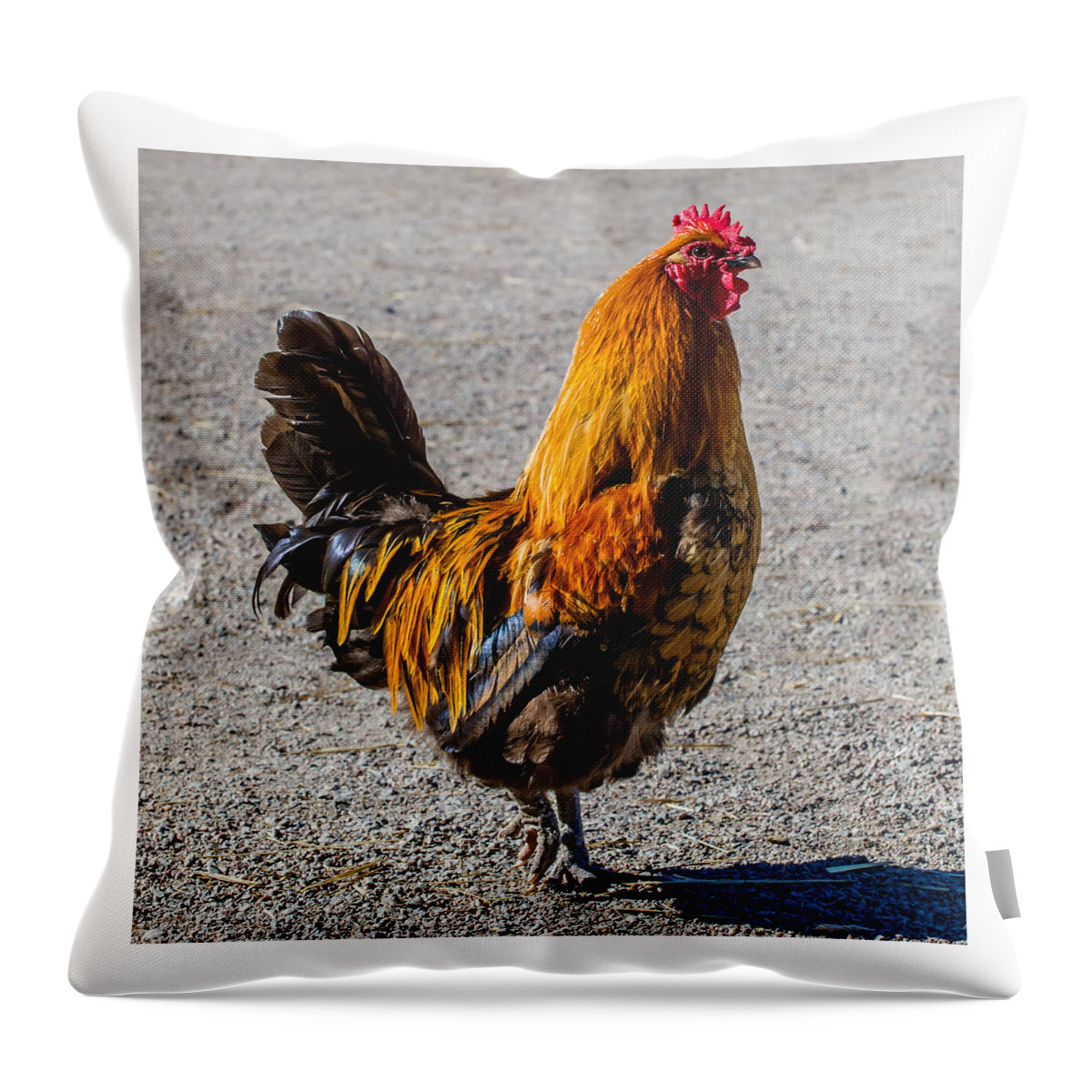 Rooster Throw Pillow featuring the photograph Rooster by Torbjorn Swenelius