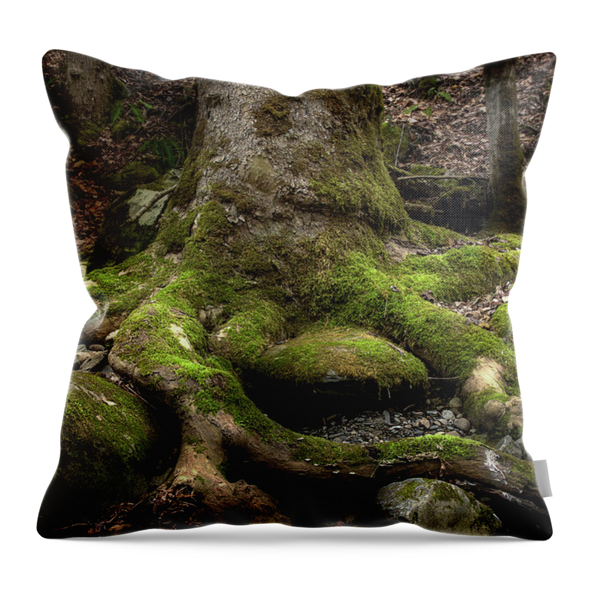 Roots Throw Pillow featuring the photograph Roots Along The River by Mike Eingle