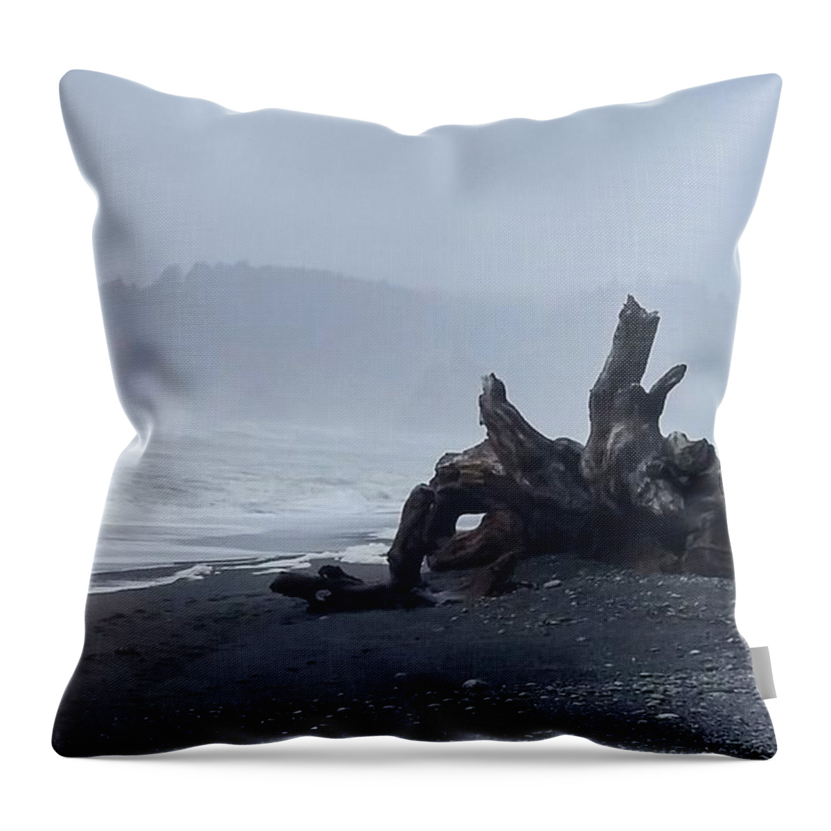 Rialto Beach Throw Pillow featuring the photograph Roots Touch Pacific by Alexis King-Glandon