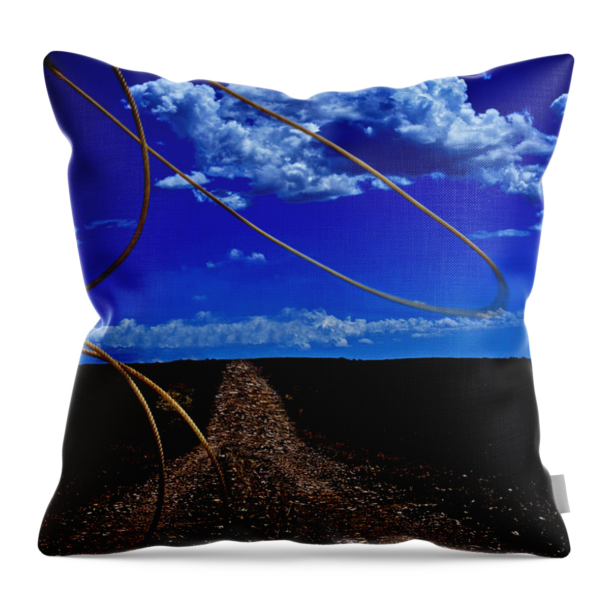 Western Throw Pillow featuring the photograph Rope The Road Ahead by Amanda Smith