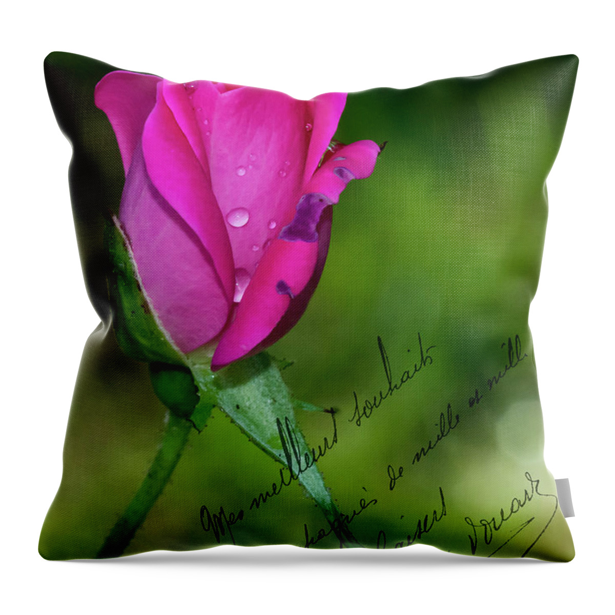 Note Card Throw Pillow featuring the photograph Rose Notes by Cathy Kovarik
