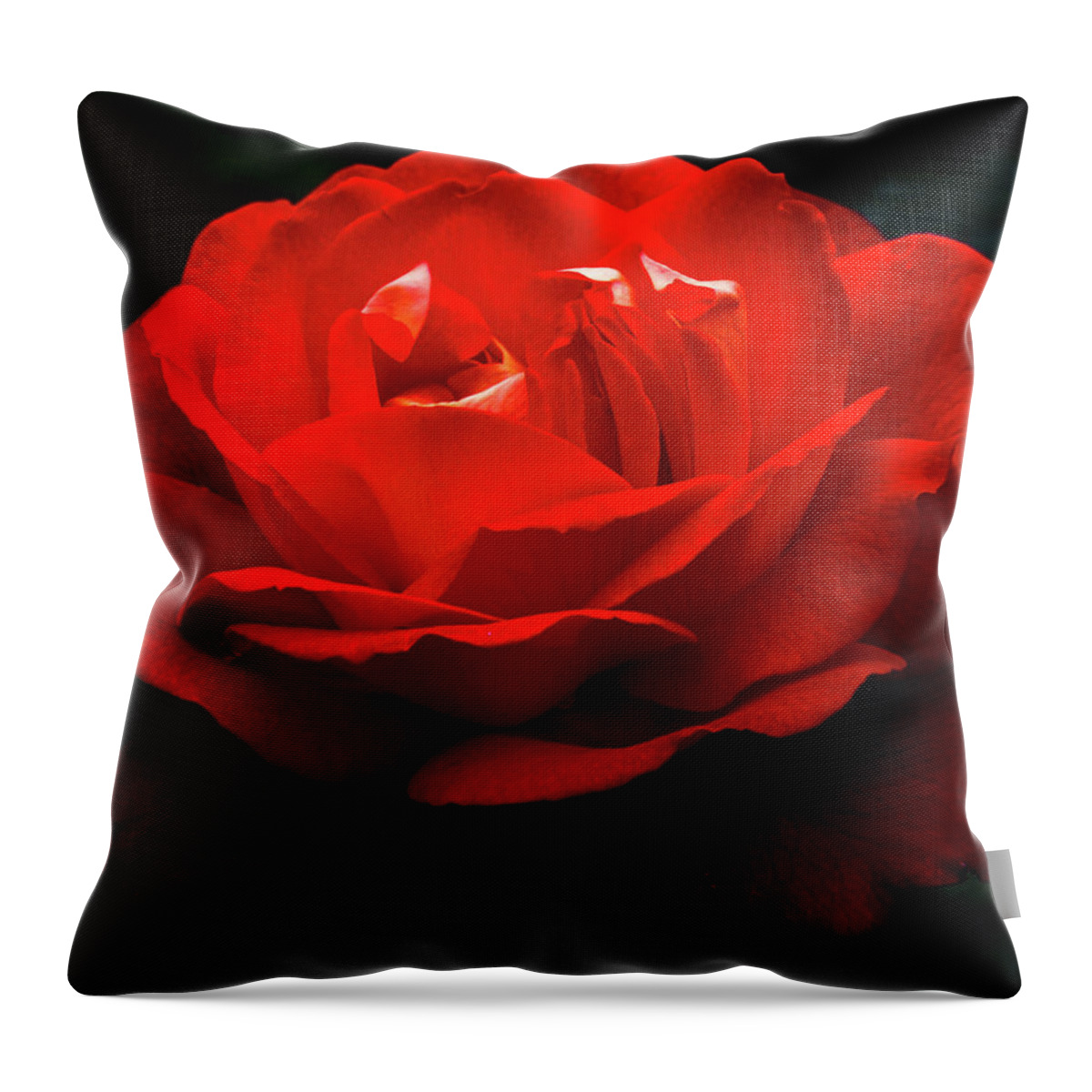 Rose Throw Pillow featuring the photograph Rose of Bern by Carrie Hannigan