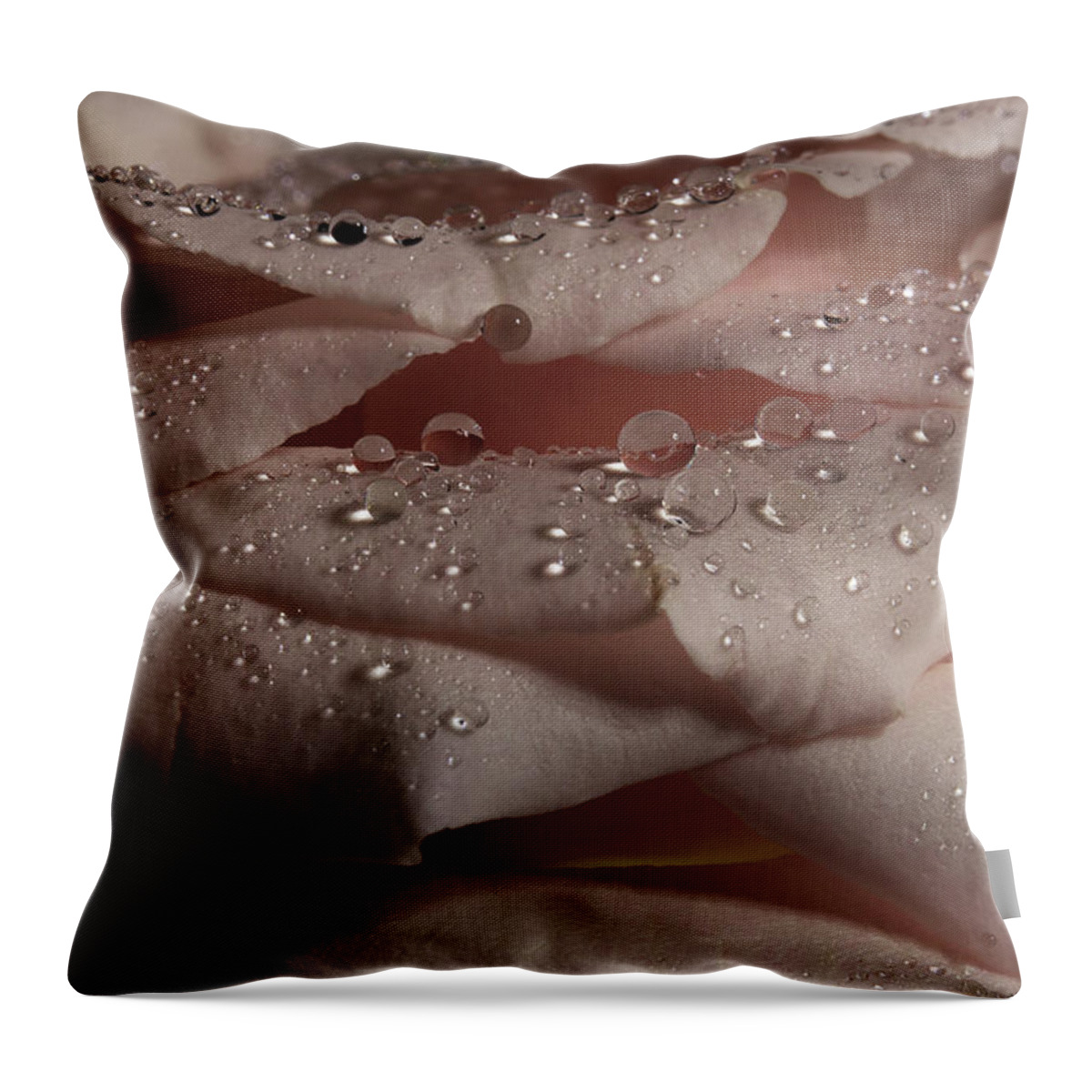 Rose Throw Pillow featuring the photograph Rose Series 1 Pink by Mike Eingle