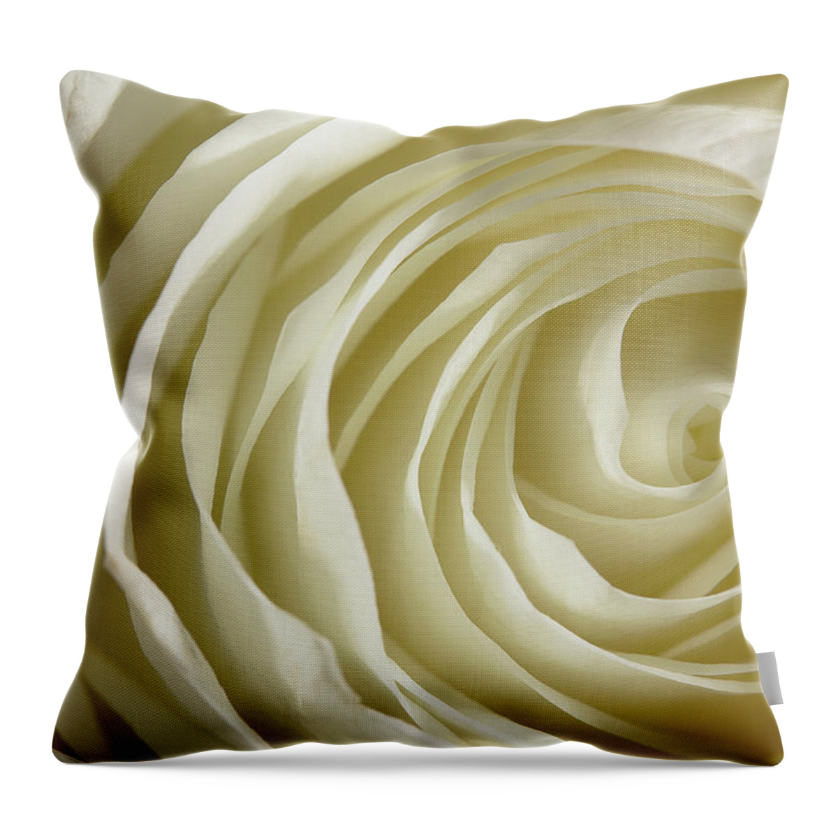 Rose Throw Pillow featuring the photograph Rose Series 4 White by Mike Eingle