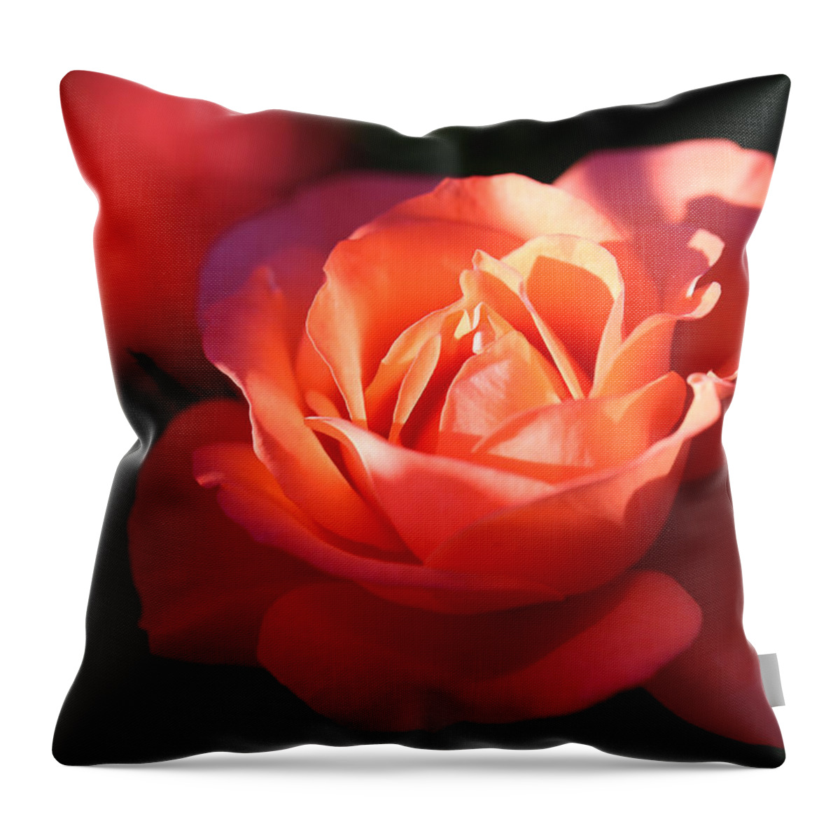 Rose Throw Pillow featuring the photograph Rose with a Glow by Tammy Pool