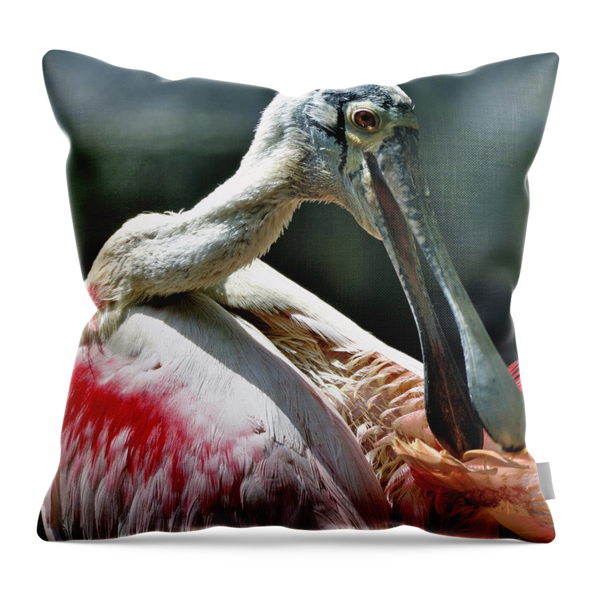 Bird Throw Pillow featuring the photograph Roseate Spoonbill by Donna Proctor