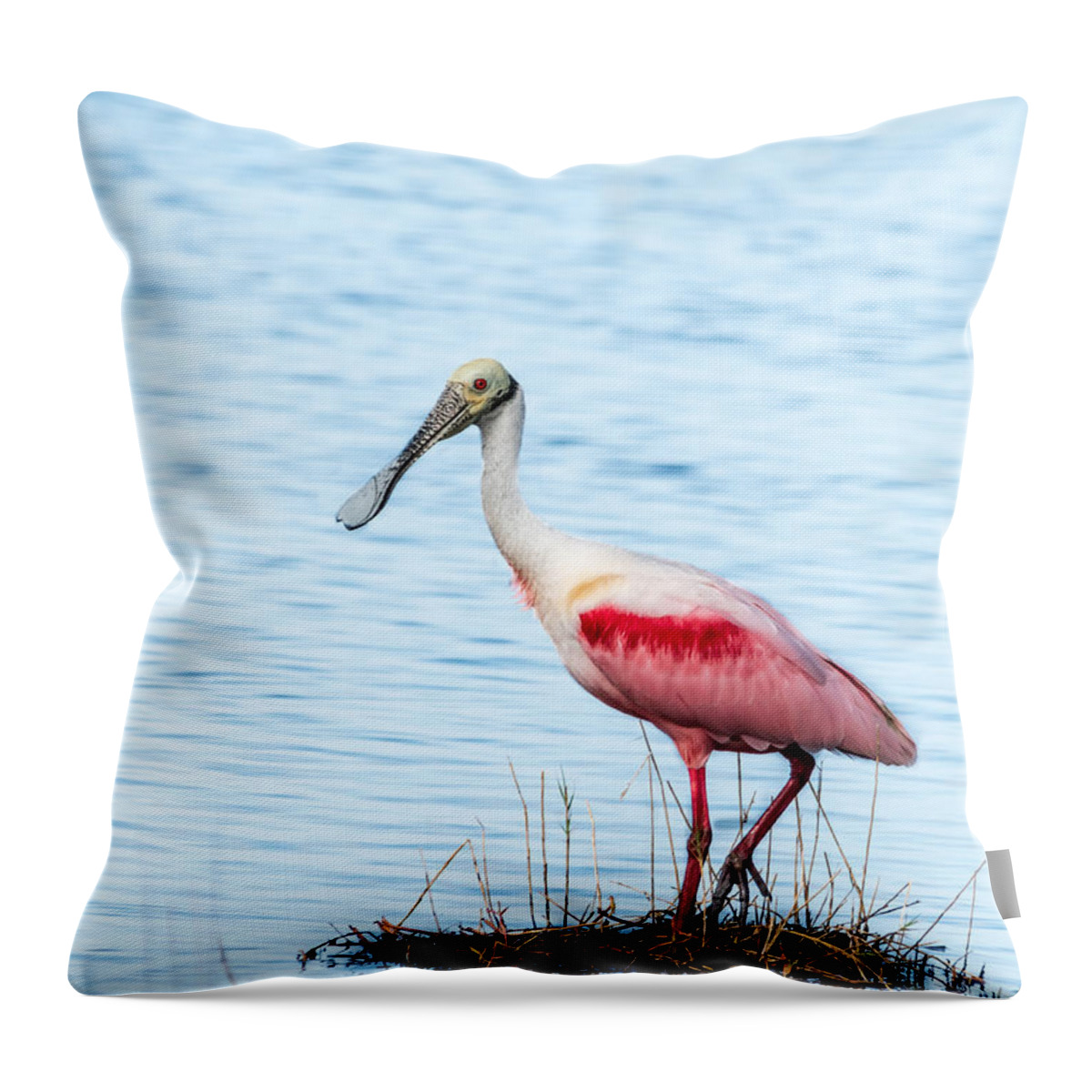 Bird Throw Pillow featuring the photograph Roseate Spoonbill by Jaime Mercado