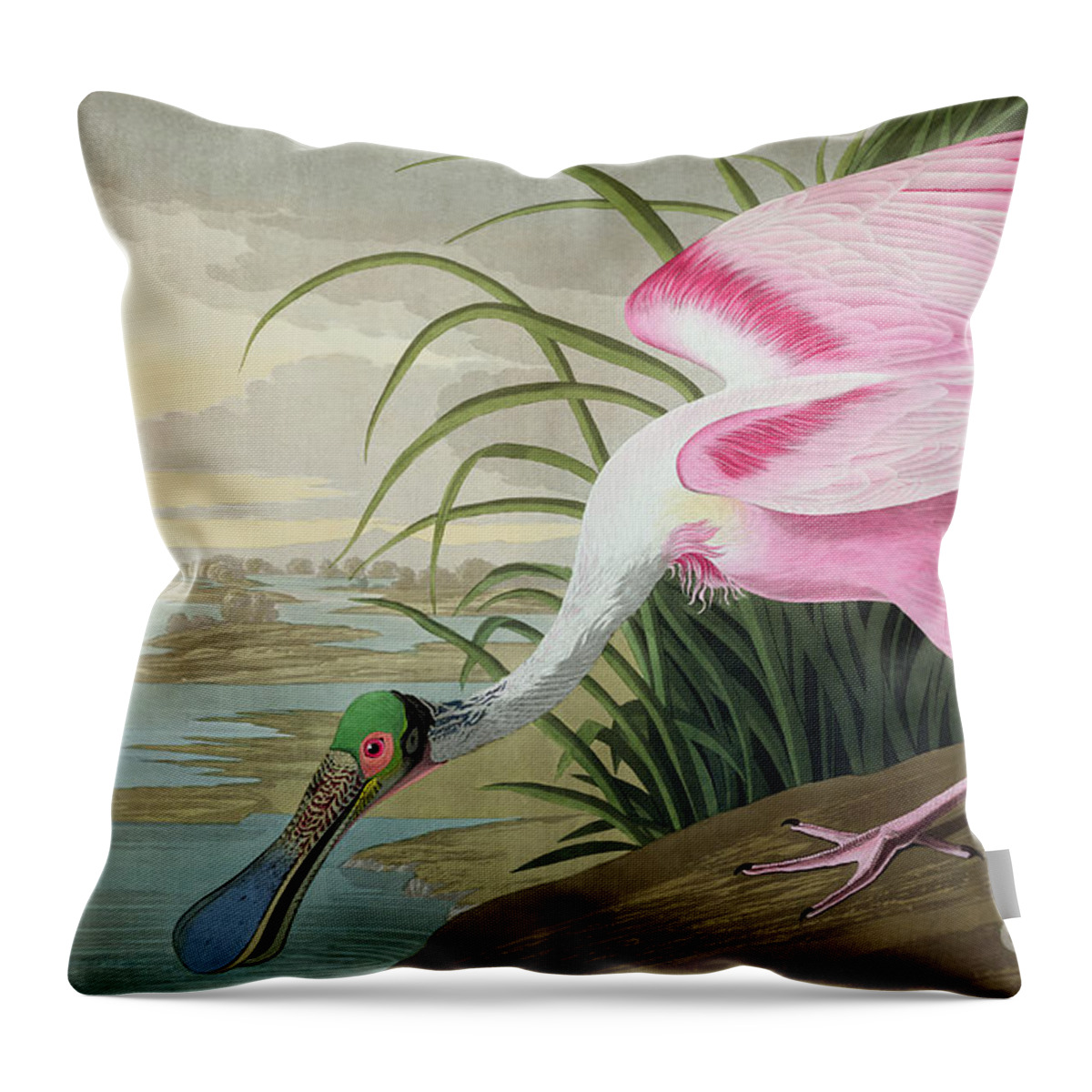 Audubon Throw Pillow featuring the painting Roseate Spoonbill by John James Audubon