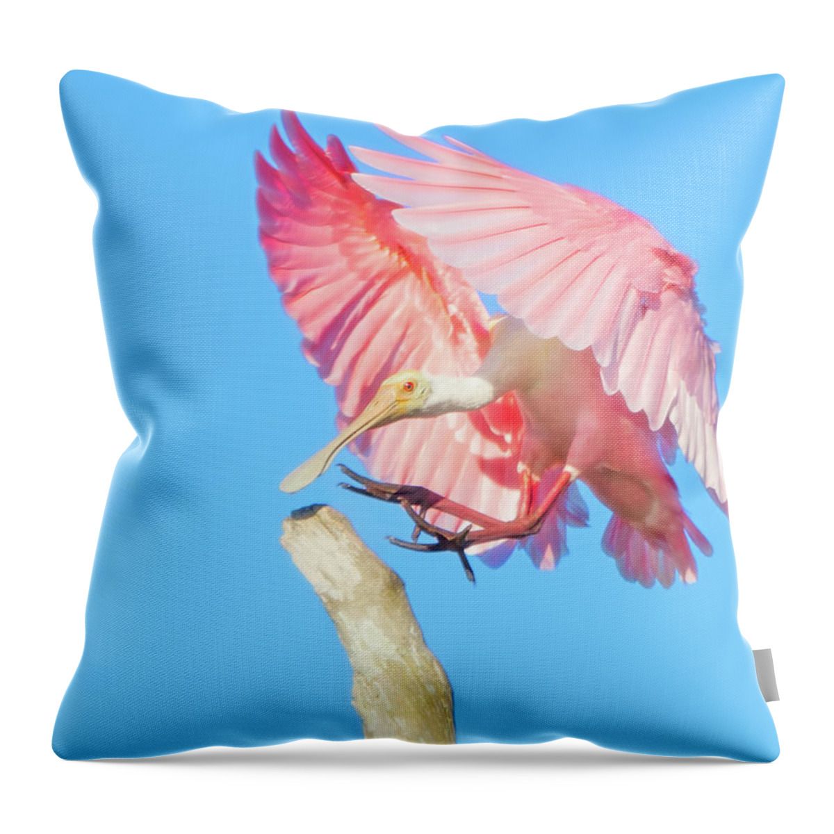 Roseate Spoonbill Throw Pillow, Designer Pillows