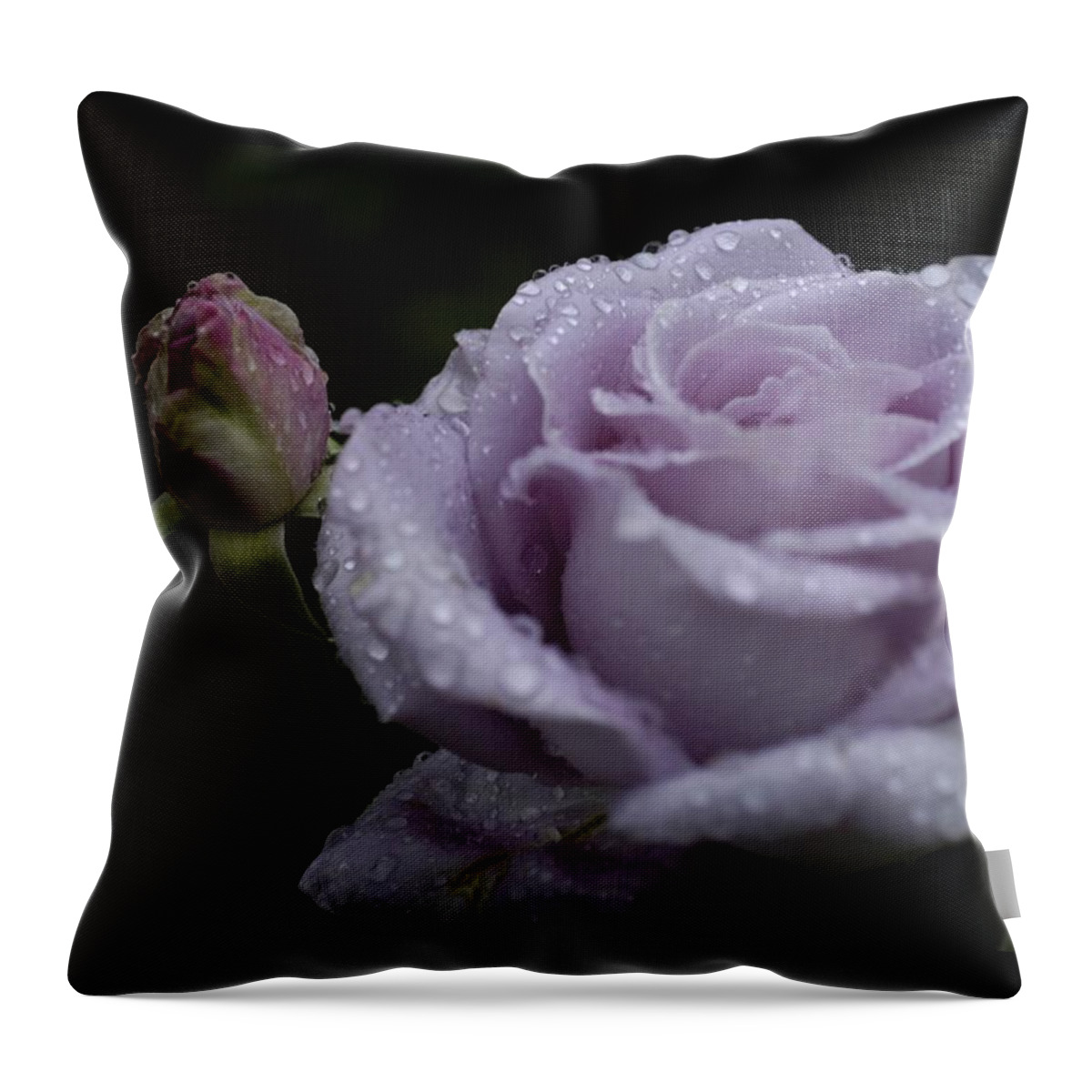 Rosebud Throw Pillow featuring the photograph Rosebud by DArcy Evans