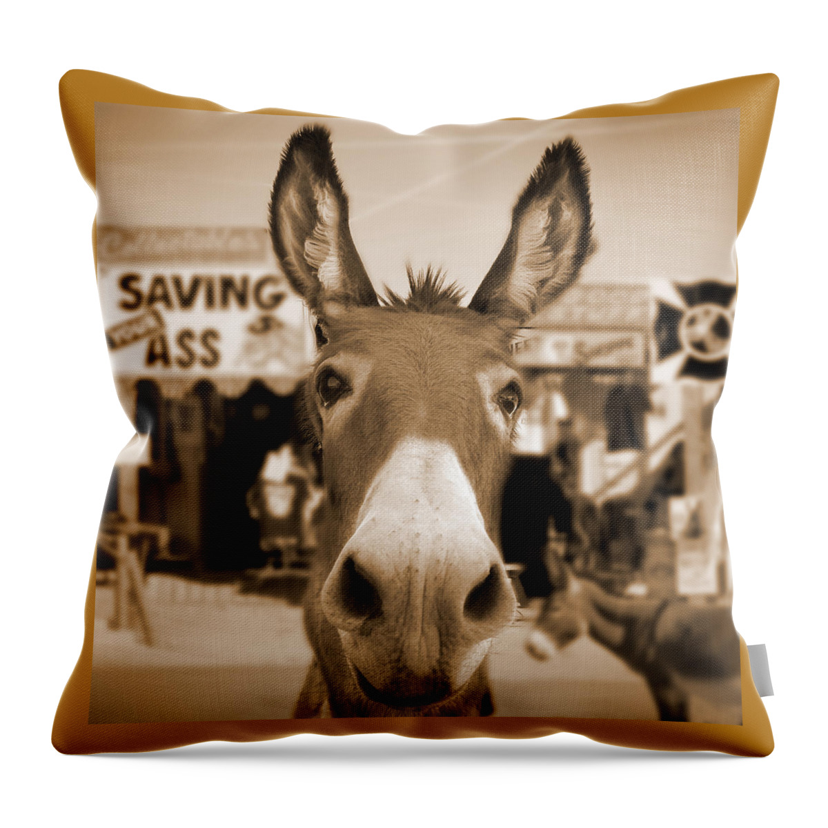 Route 66 Throw Pillow featuring the photograph Route 66 - Oatman Donkeys by Mike McGlothlen