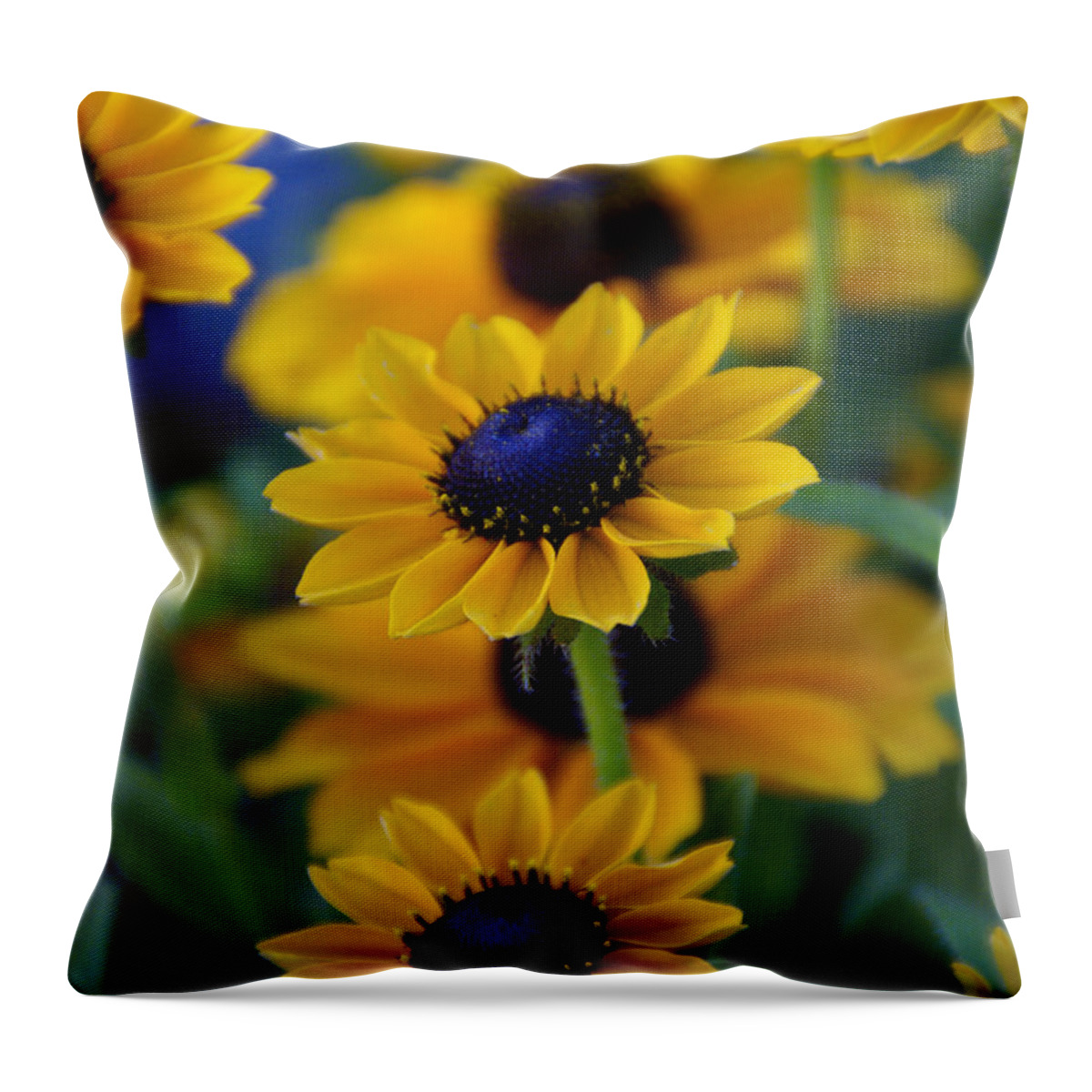 Yellow Throw Pillow featuring the photograph Royal Blue by Linda Shafer