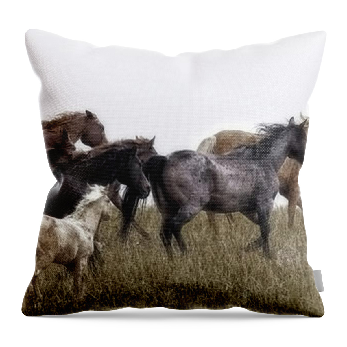 Horses Throw Pillow featuring the photograph Running on November's Wind by Amanda Smith