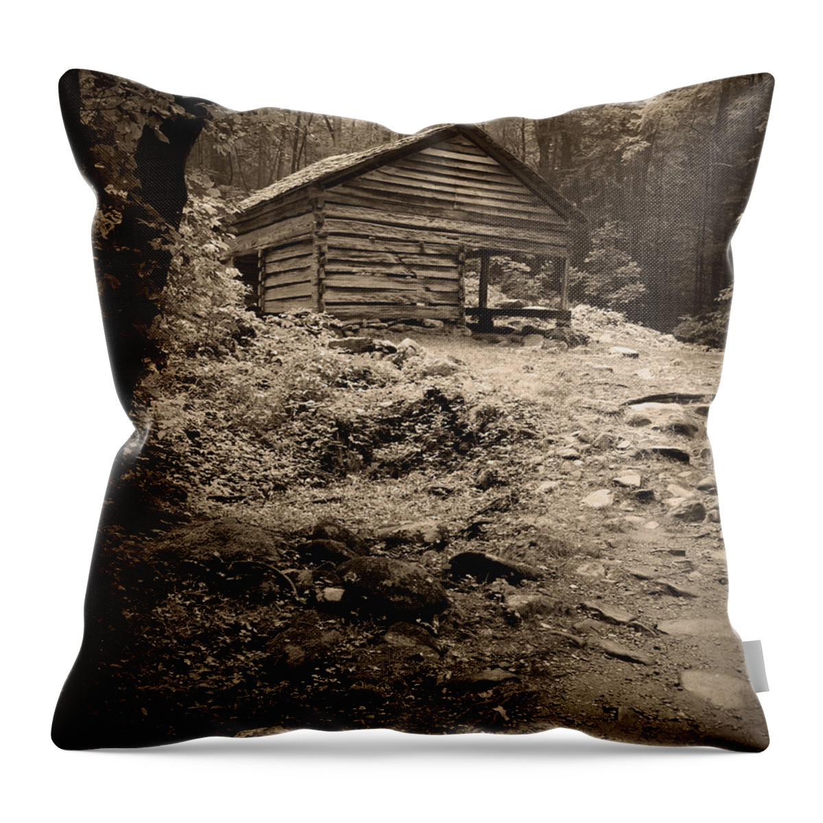 Rustic Throw Pillow featuring the photograph Rustic Cabin by Larry Bohlin