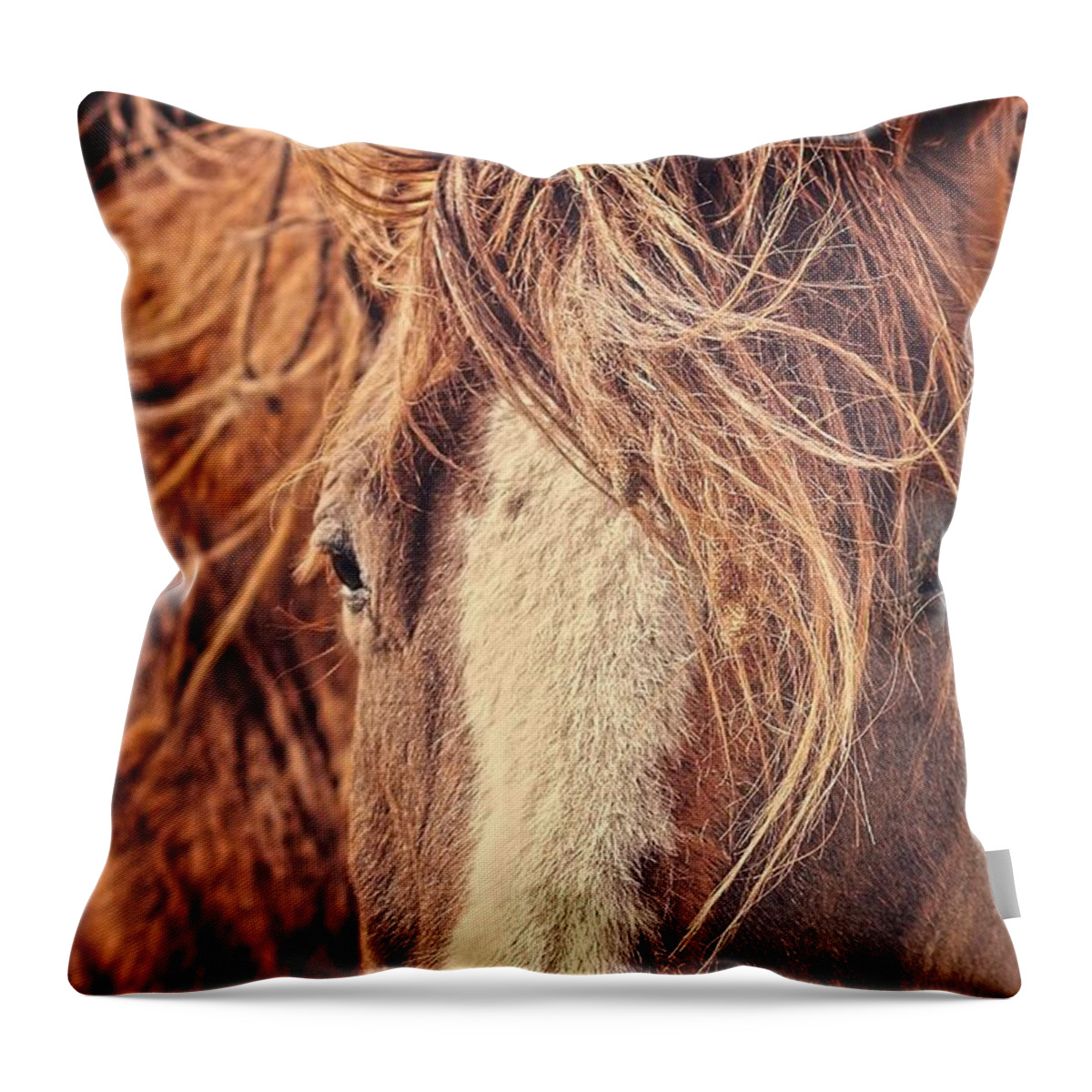 Rustic Throw Pillow featuring the photograph Rustic Eyes by Amanda Smith