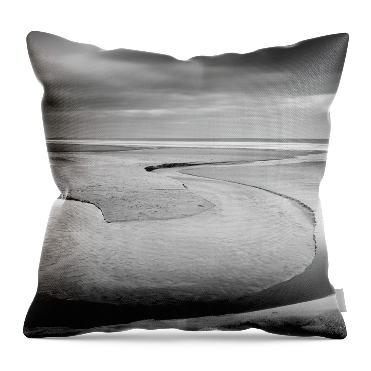 Black And White Throw Pillow featuring the photograph S by Anita Nicholson