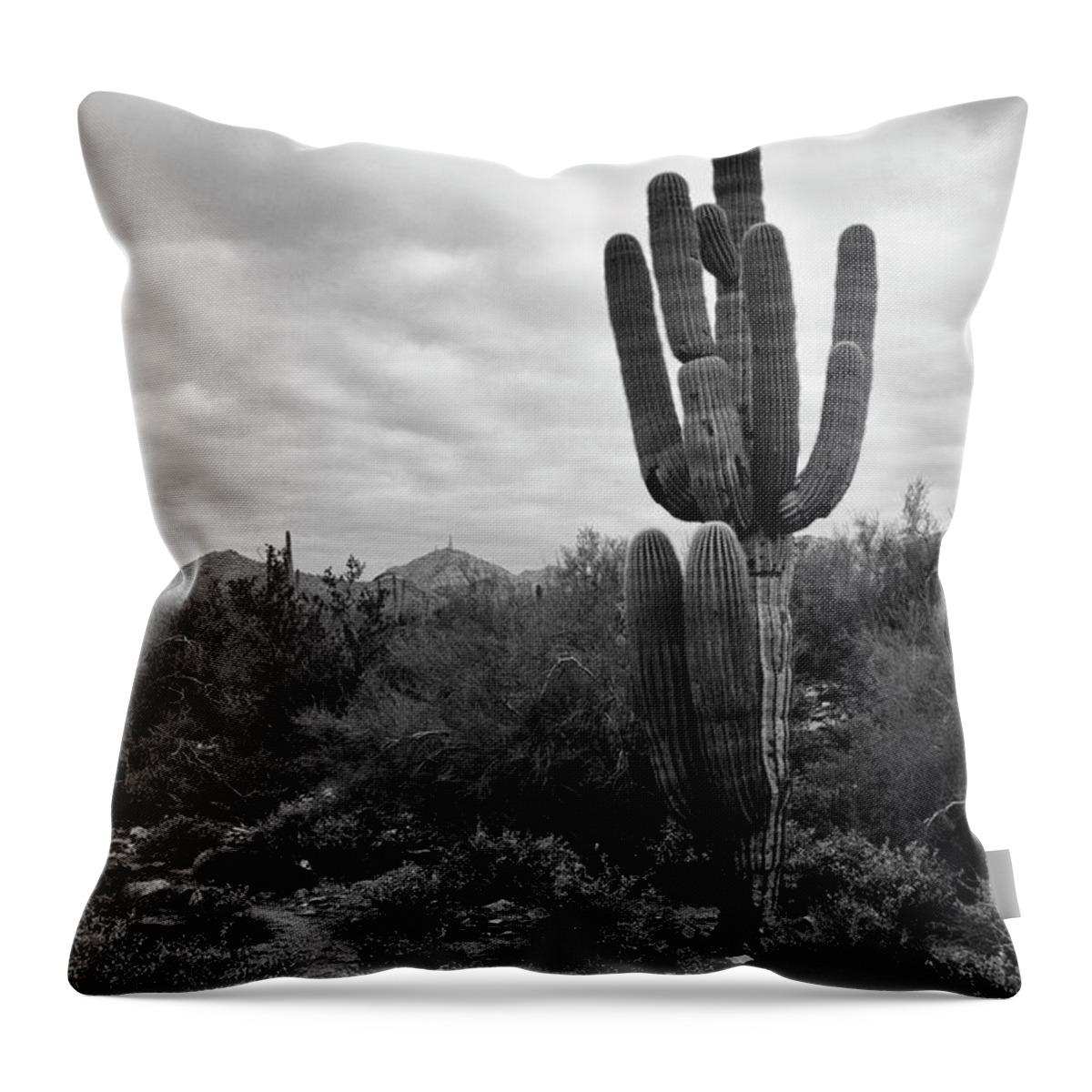 Saguaro Cactus Throw Pillow featuring the photograph Saguaro Cactus by Tamara Becker