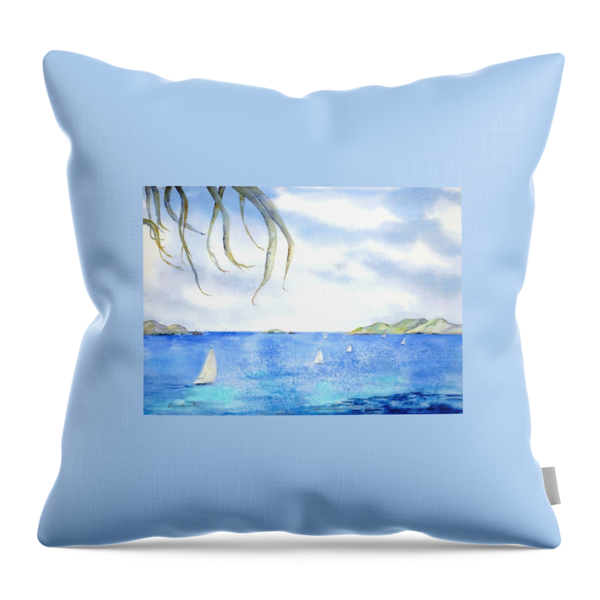 Caribbean Throw Pillow featuring the painting Sailing Between the Islandsd by Diane Kirk
