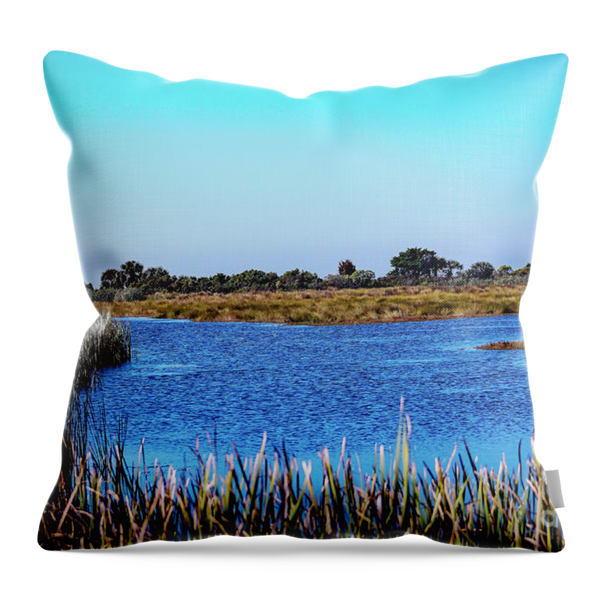Nature Throw Pillow featuring the photograph Saint Marks National Wildlife Refuge Lagoon by DB Hayes