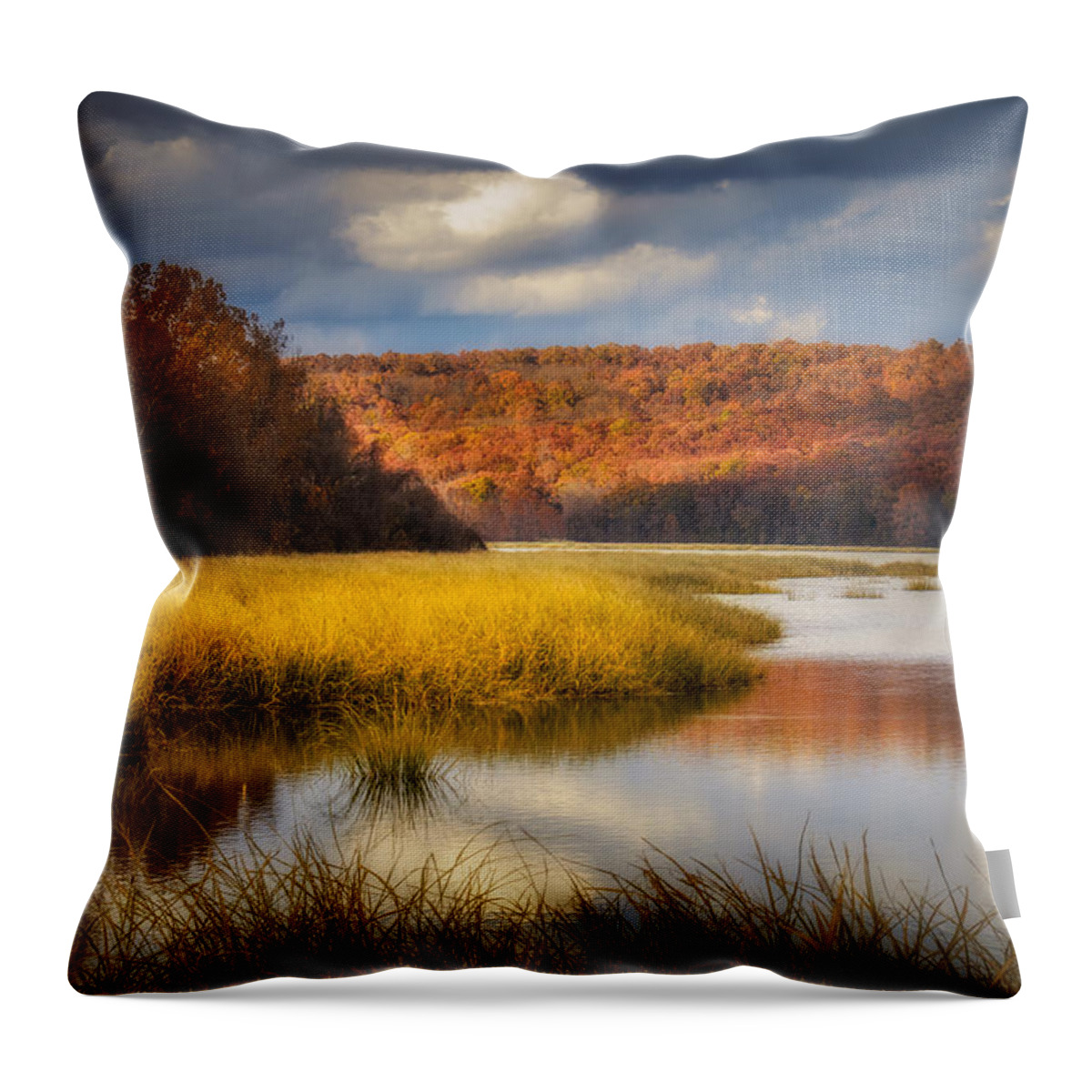 Sequoyah National Wildlife Refuge Throw Pillow featuring the photograph Sally Jones Lake by James Barber