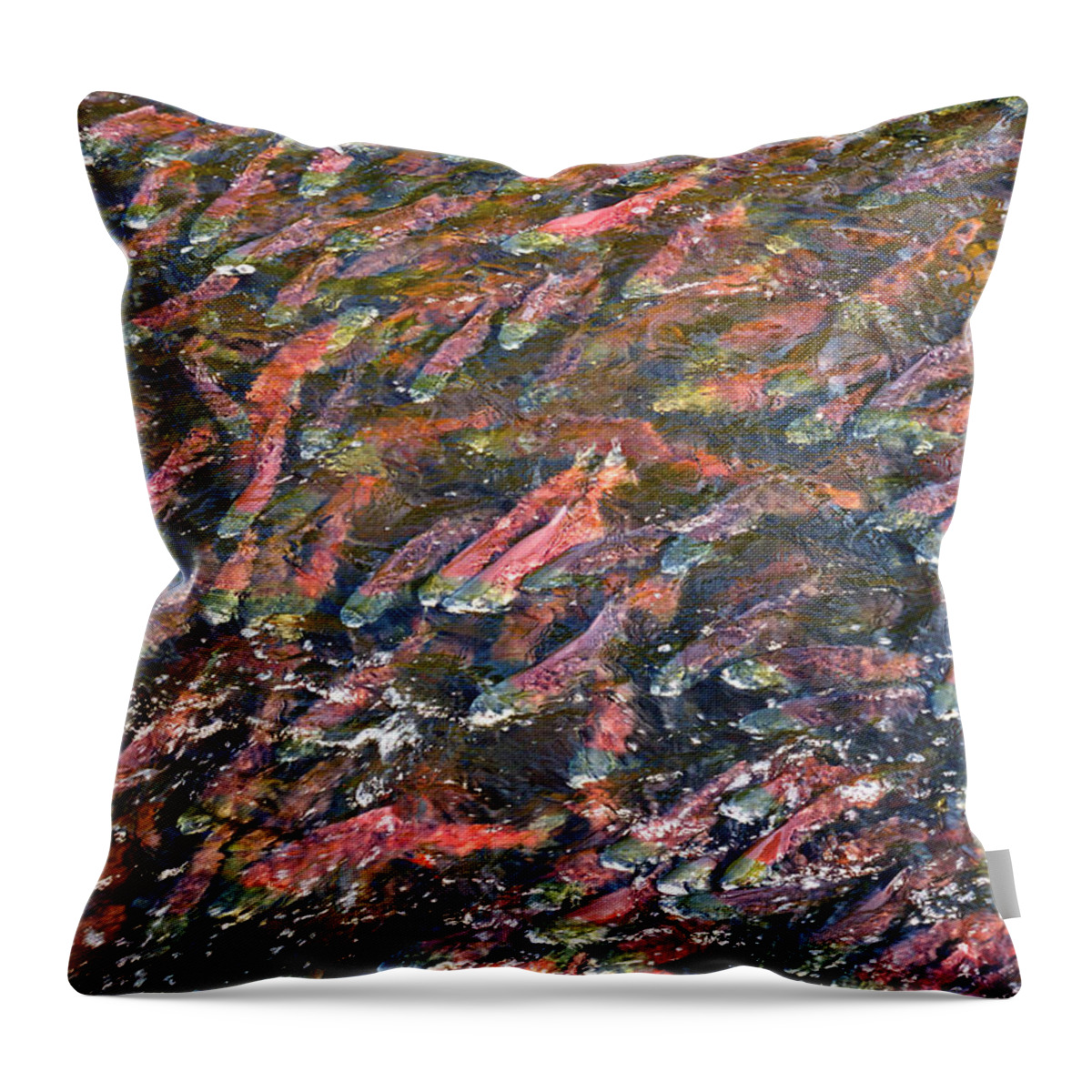 Fish Throw Pillow featuring the photograph Salmon So Thick You Can Walk On Them by Mary Lee Dereske