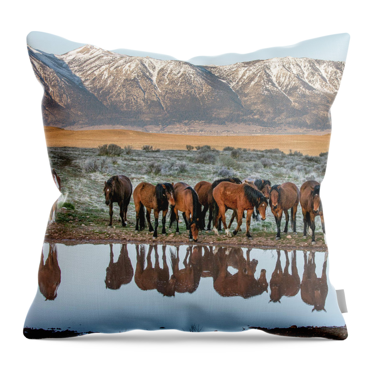  Throw Pillow featuring the photograph Samson at the pond by John T Humphrey