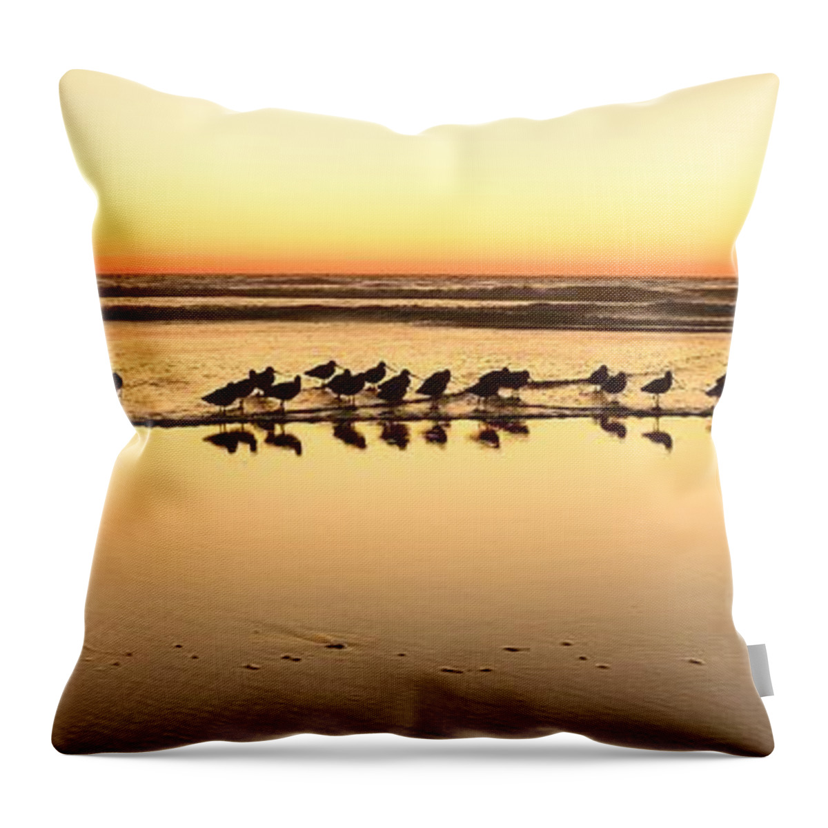 Landscapes Throw Pillow featuring the photograph Wander by John F Tsumas