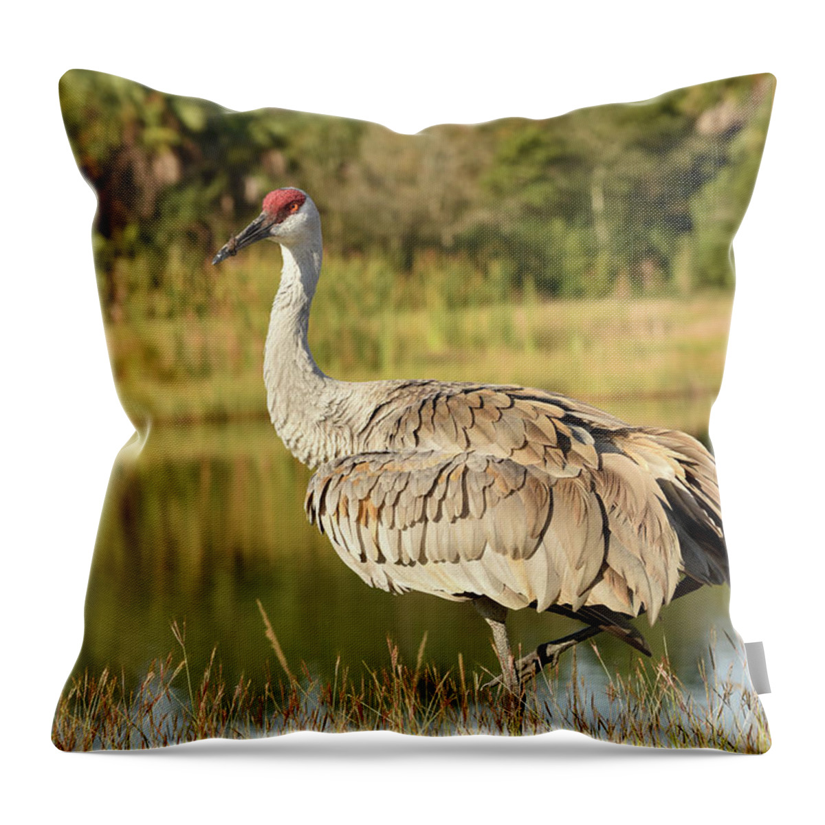 Crane Throw Pillow featuring the photograph Sandhill Crane Standing Beside a Lake by Artful Imagery