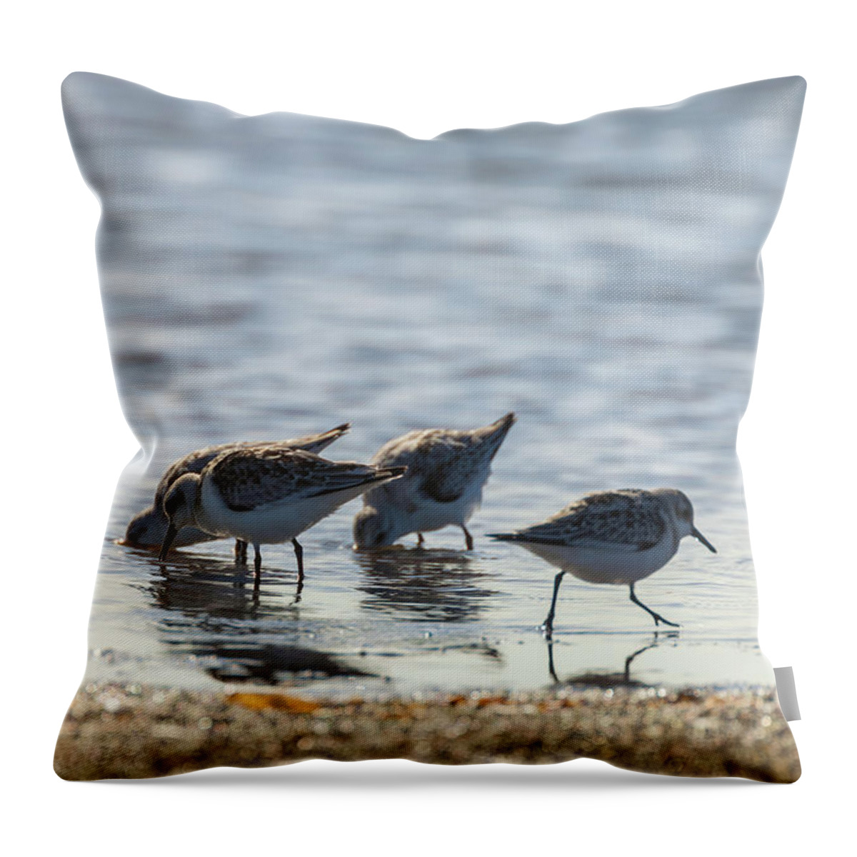 Calidris Mauri Throw Pillow featuring the photograph Sandpipers by Jonathan Nguyen
