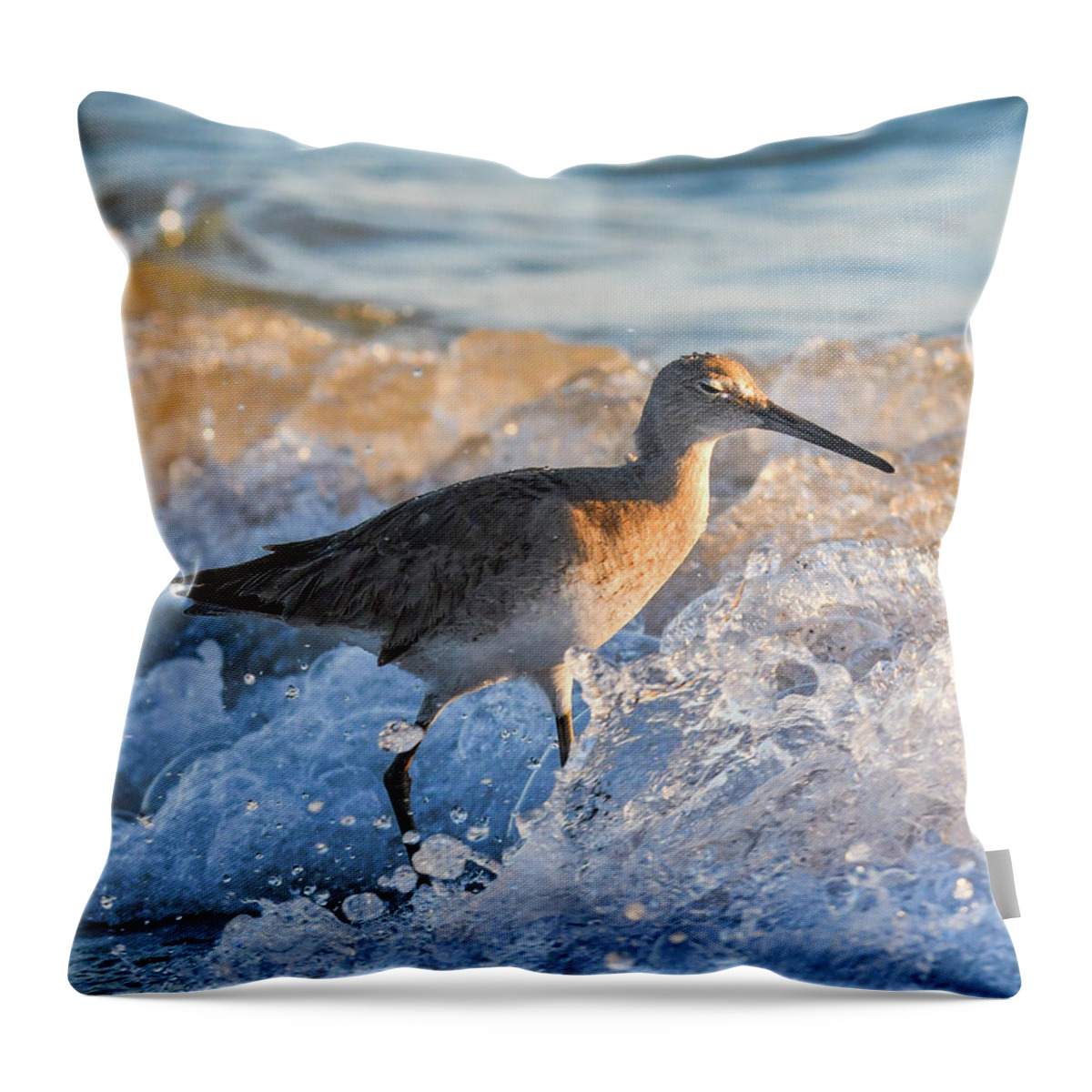 Baird's Throw Pillow featuring the photograph Sandpiper Bathing at Sunset by Artful Imagery