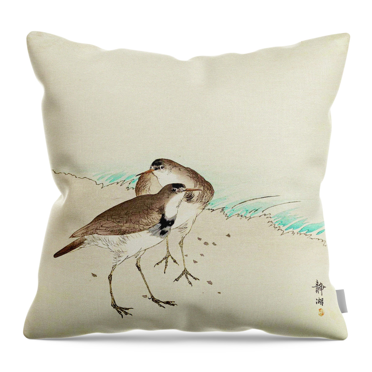 https://render.fineartamerica.com/images/rendered/default/throw-pillow/images/artworkimages/medium/1/sandpipers-on-a-beach-okuhara-seiko.jpg?&targetx=-14&targety=0&imagewidth=507&imageheight=479&modelwidth=479&modelheight=479&backgroundcolor=5D4834&orientation=0&producttype=throwpillow-14-14