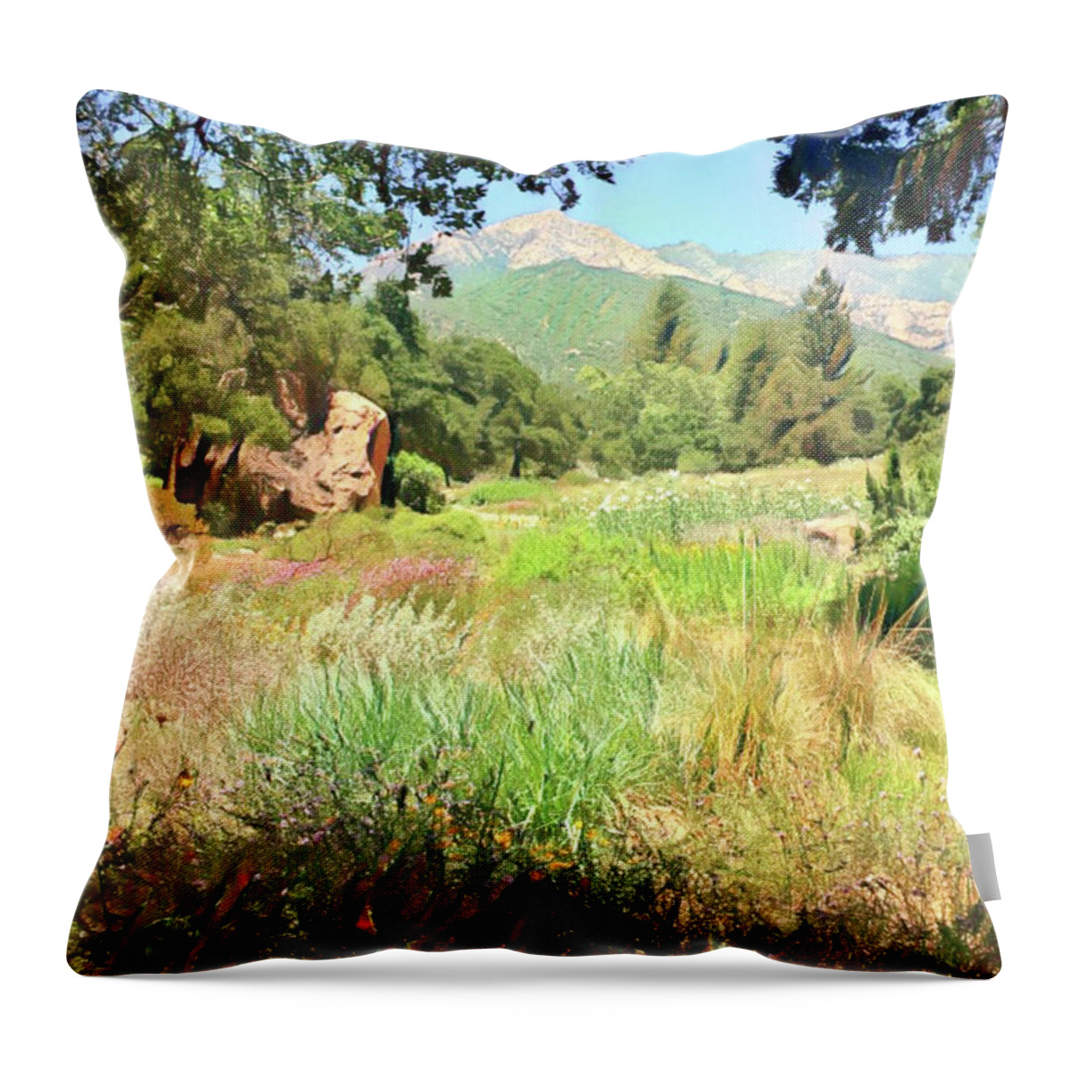 Santa Barbara Throw Pillow featuring the digital art Santa Barbara Summer by Jackie MacNair