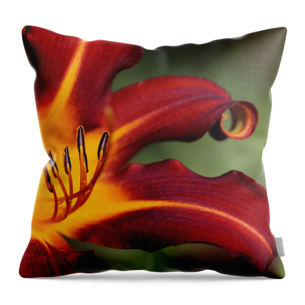 Daylily Curl Throw Pillow featuring the photograph Sassy Daylily by Tammy Pool