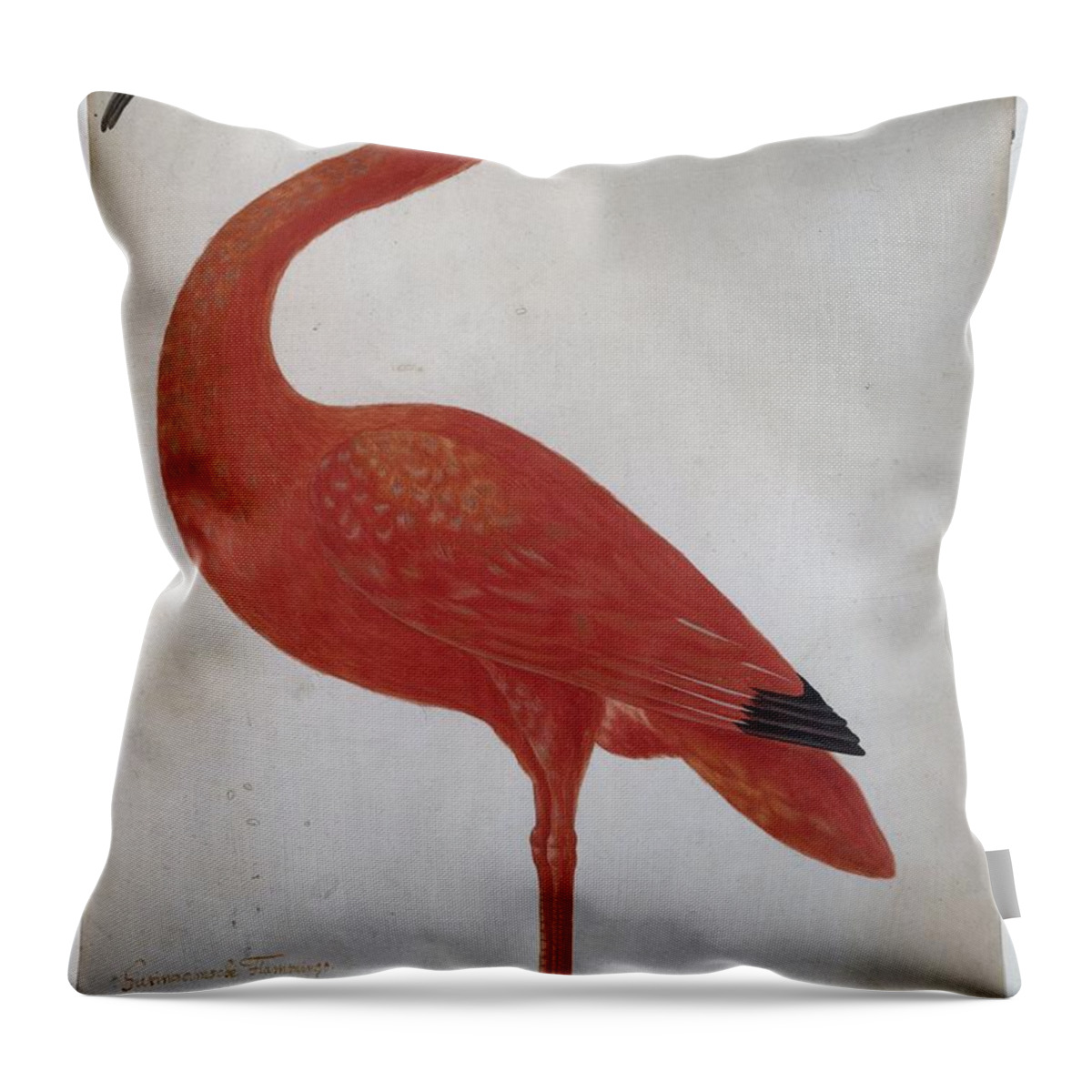 Scarlet Ibis With An Egg Throw Pillow featuring the painting Scarlet Ibis with an Egg by MotionAge Designs