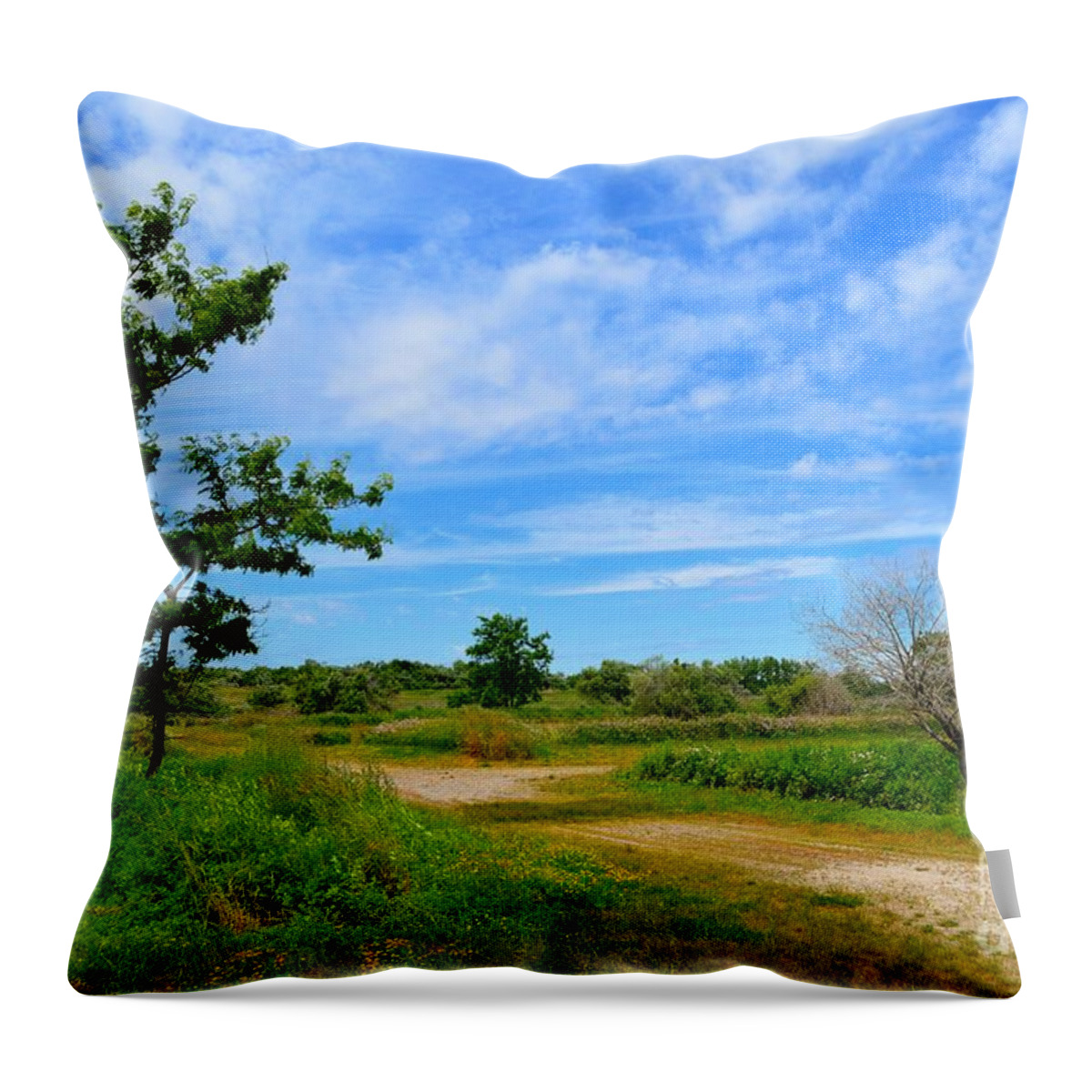 Path Throw Pillow featuring the photograph Scene at Silver Sands by Dani McEvoy