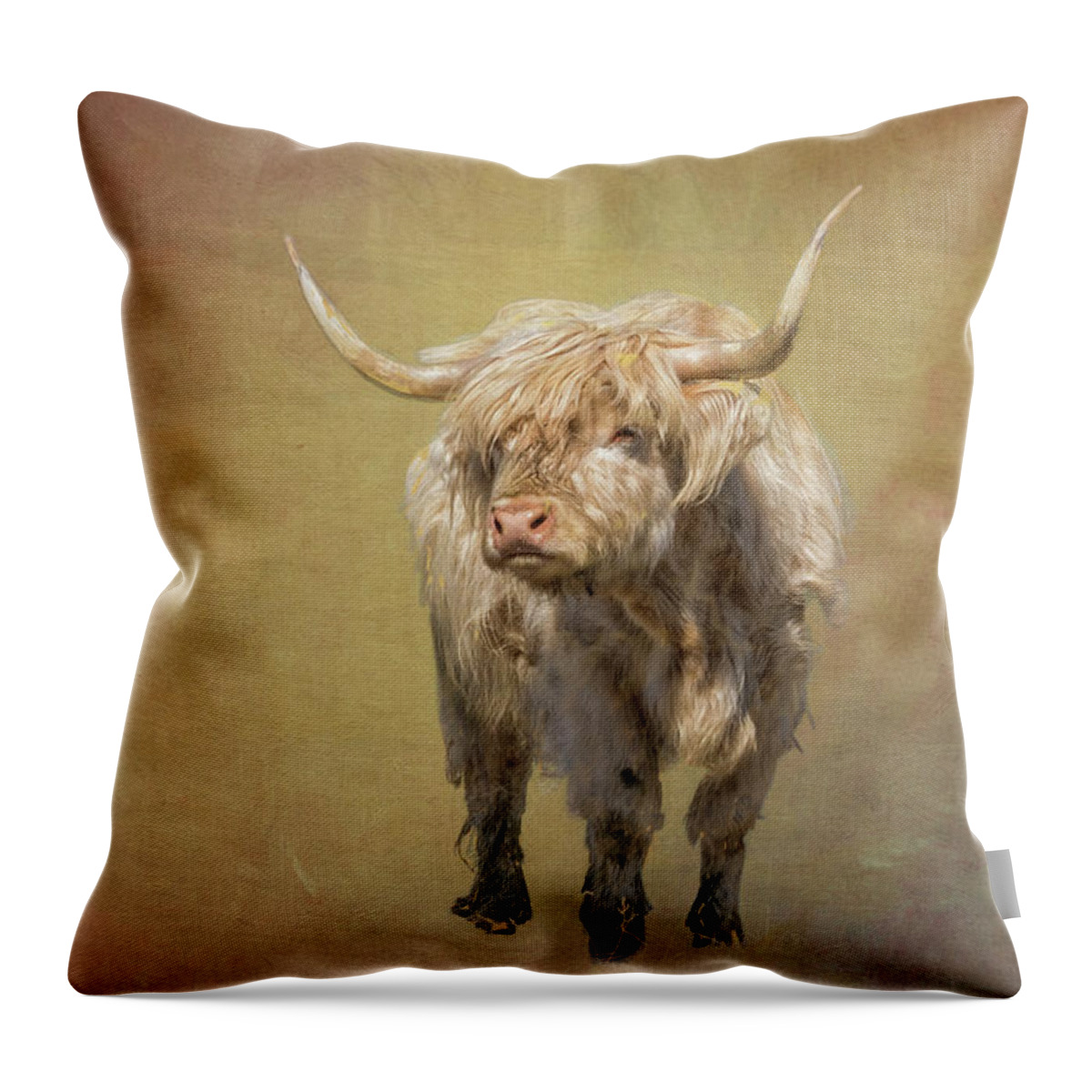 Harrisville New Hampshire. New England Mill Town Throw Pillow featuring the photograph Scottish Highlander by Tom Singleton