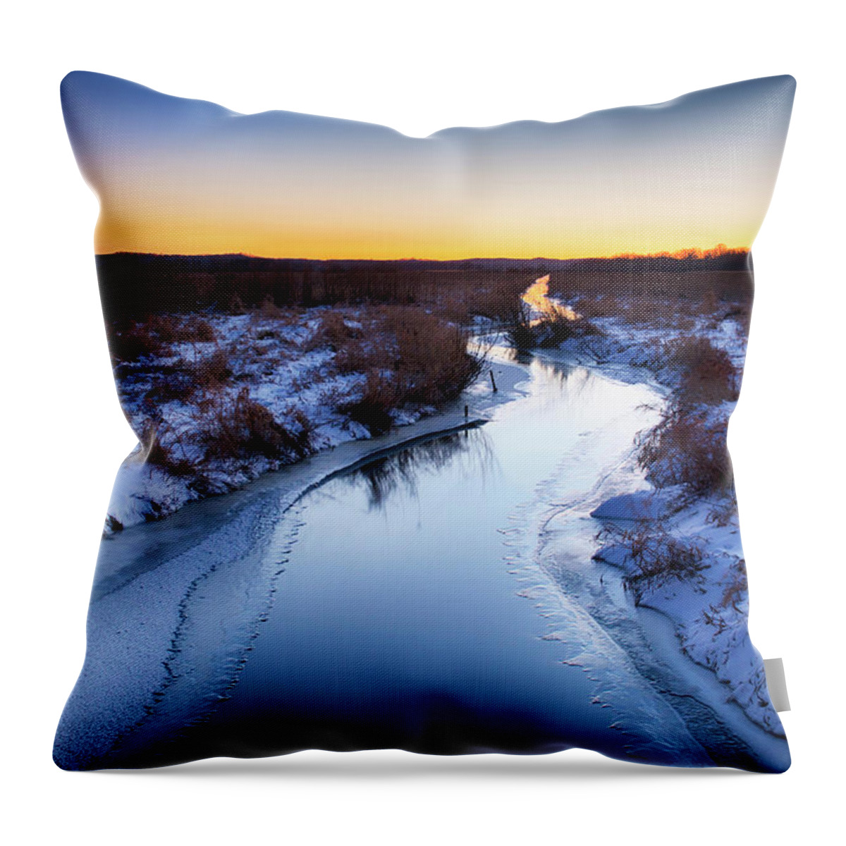  Throw Pillow featuring the photograph Scuppernong by Dan Hefle
