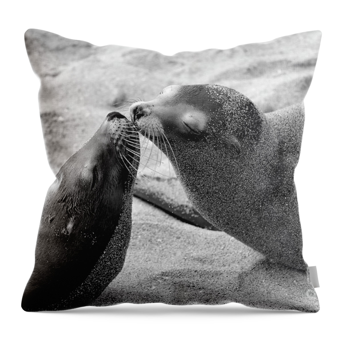 Sea Lions Throw Pillow featuring the photograph Kinda Like You by John F Tsumas