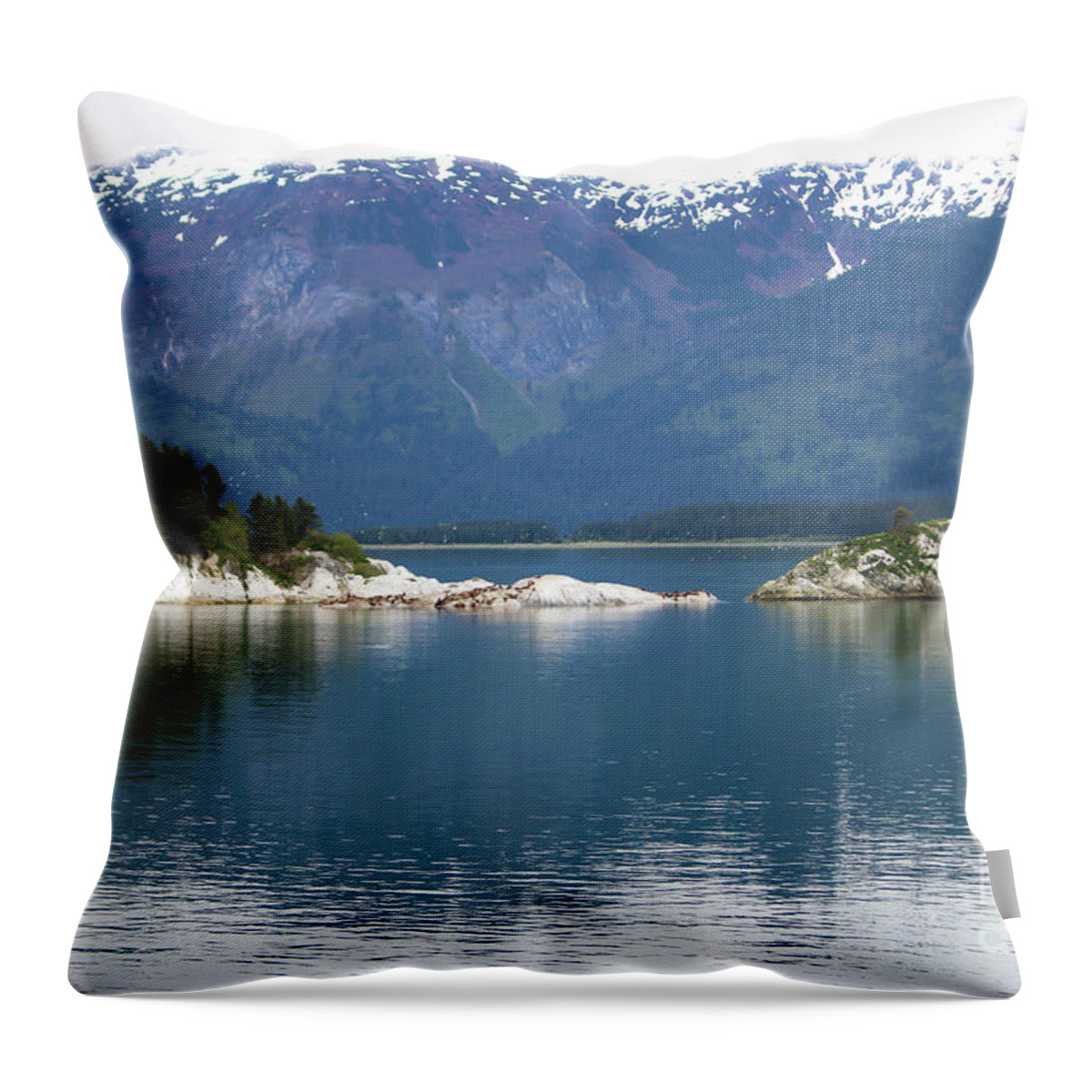 Sea Lions Throw Pillow featuring the photograph Sea Lions Alaska Two by Veronica Batterson
