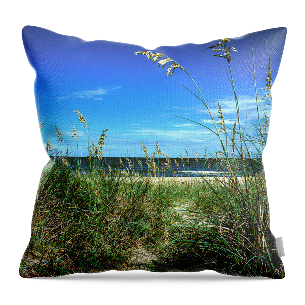 Ocean Throw Pillow featuring the photograph Sea Oat Dunes 11D by Gerry Gantt