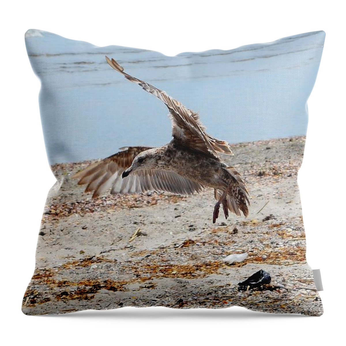 Beach Throw Pillow featuring the photograph Seagull and Shadow by Dani McEvoy
