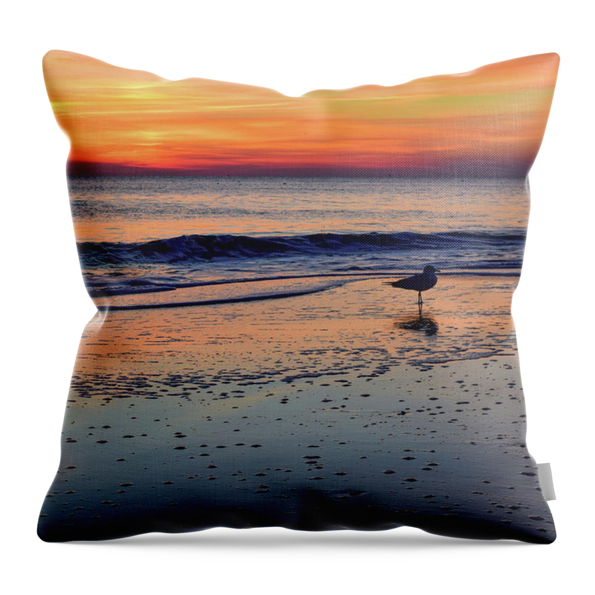 Beach Throw Pillow featuring the photograph Seagull at Sunrise by Nicole Lloyd