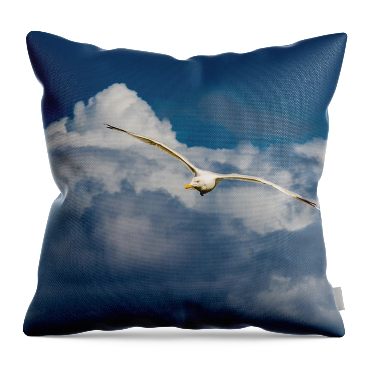 Seagull Throw Pillow featuring the photograph Seagull High Over the Clouds by Andreas Berthold