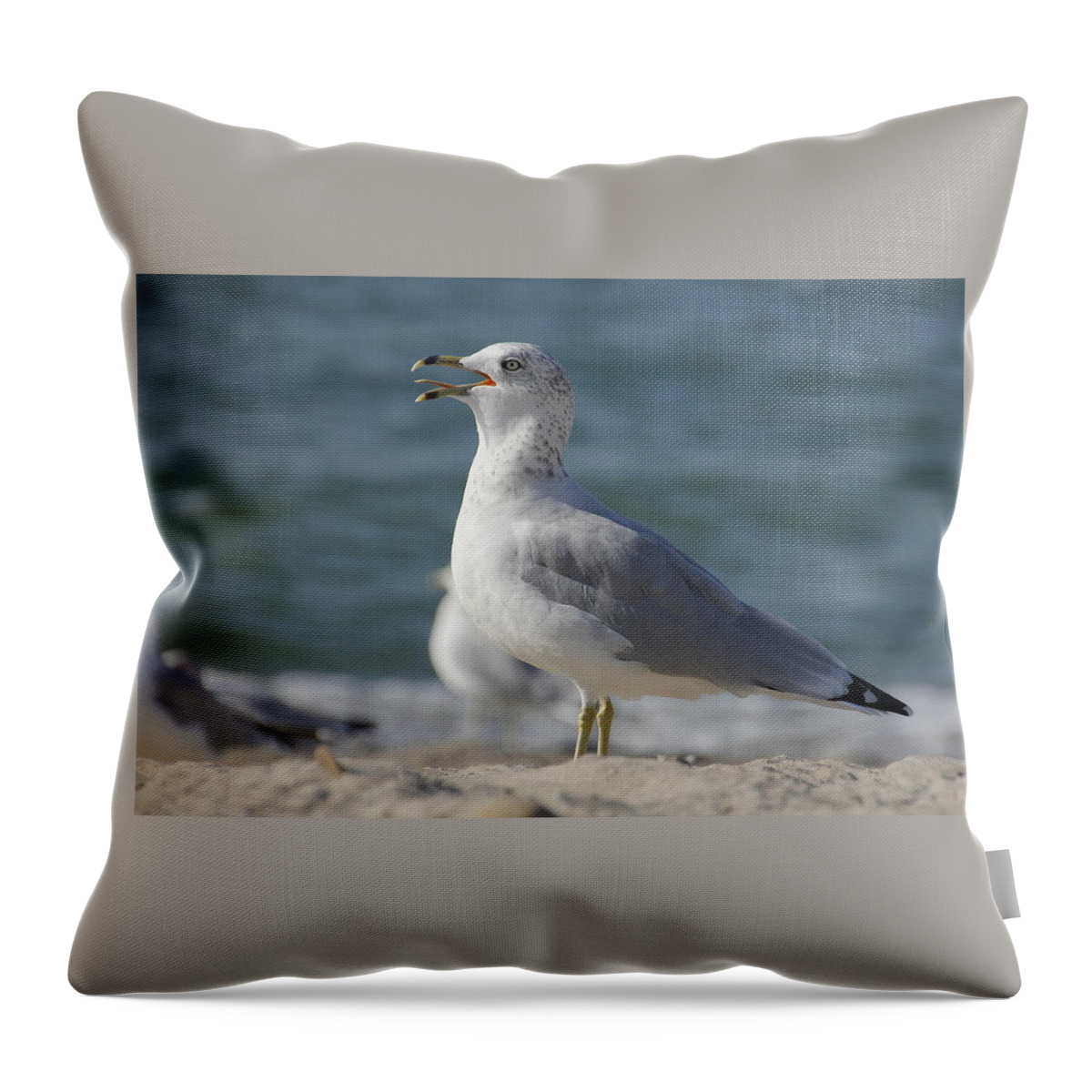 Seagull Throw Pillow featuring the photograph Seagull on Lake Erie Beach by Valerie Collins