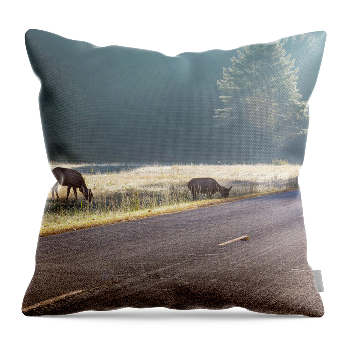 Elk Throw Pillow featuring the photograph Searching For Greener Grass by D K Wall
