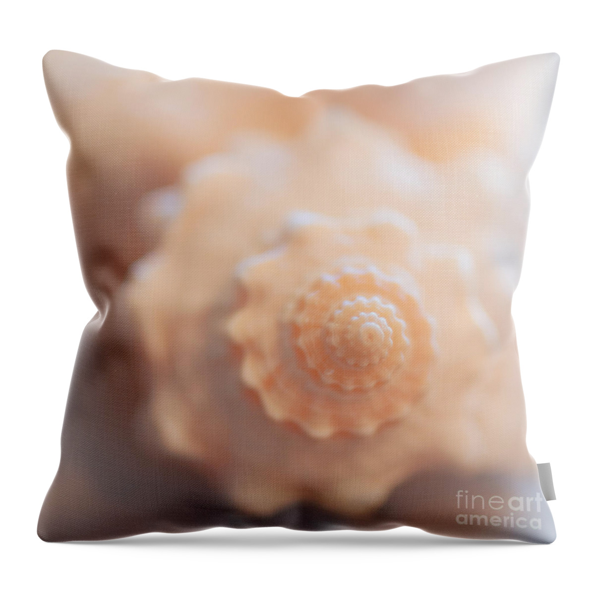 Soft Throw Pillow featuring the photograph Seashell Dream by Ana V Ramirez