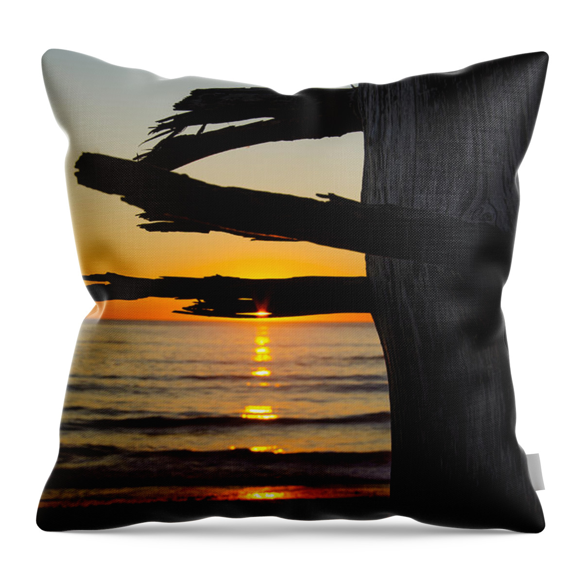 Branch Throw Pillow featuring the photograph Seaside Tree Branch Sunset by Pelo Blanco Photo