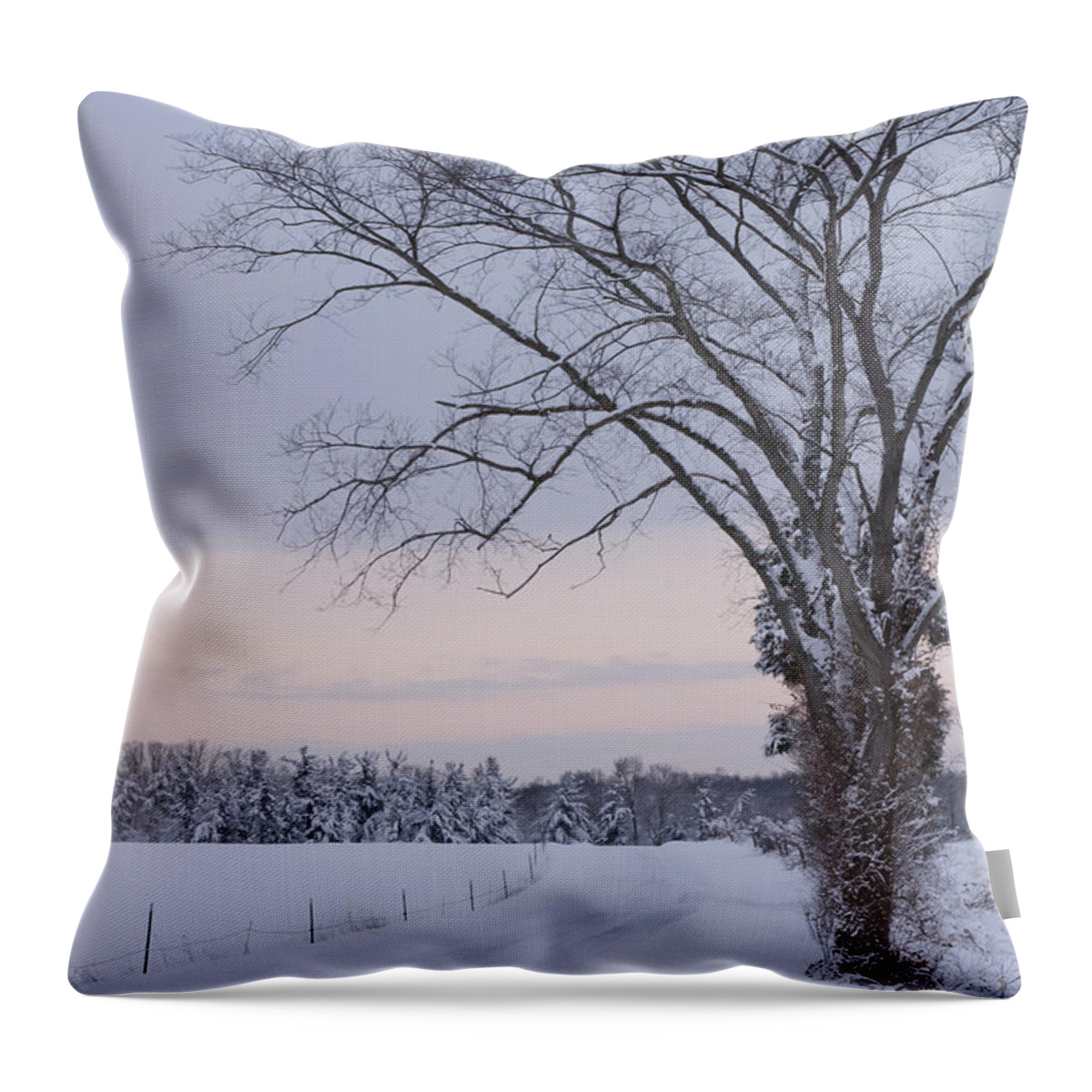 Season's Greetings Throw Pillow featuring the photograph Season's Greetings- Country Road by Holden The Moment